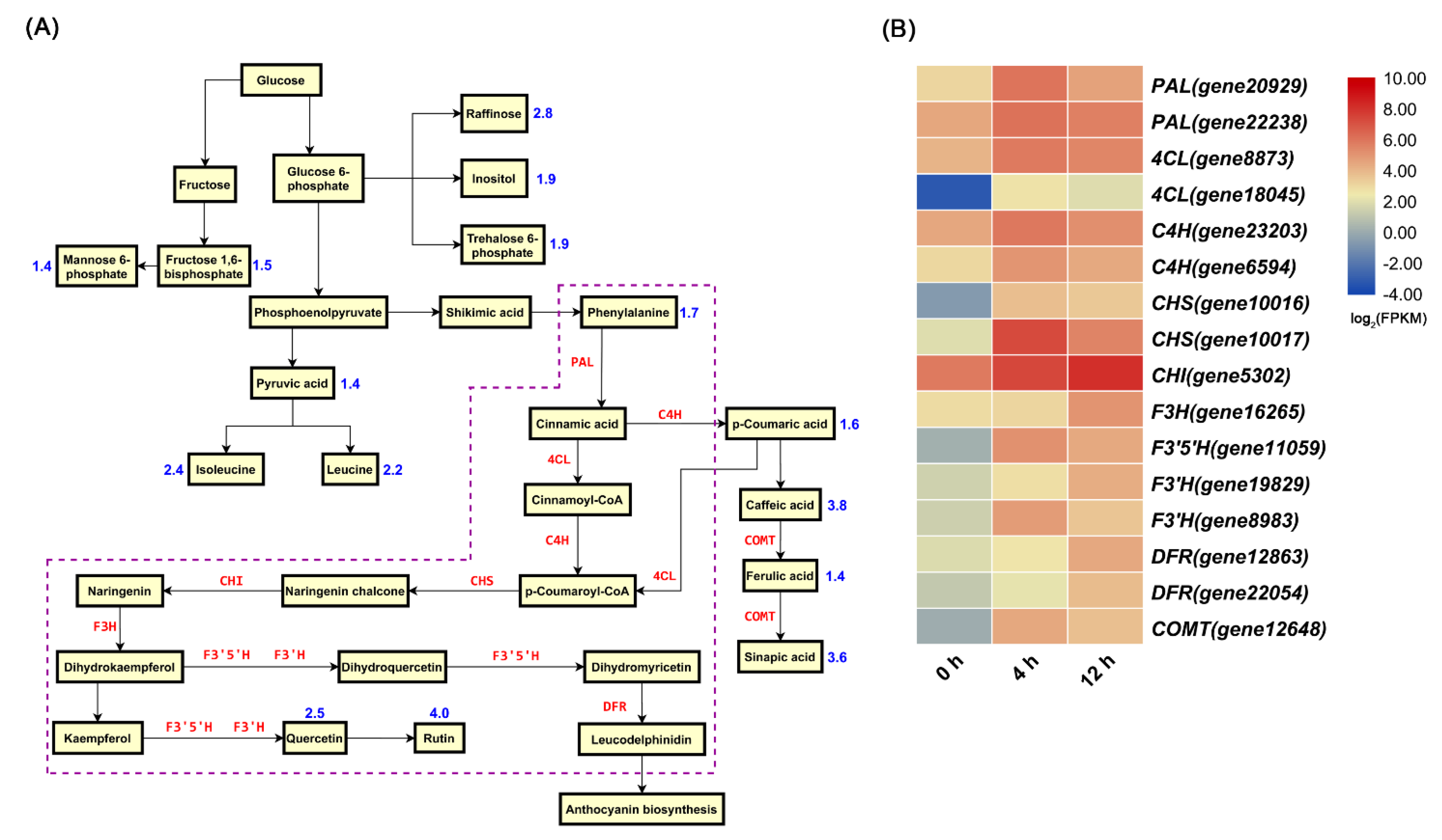 Biomolecules 11 00736 g005 Biomolecules 11 00736 g005