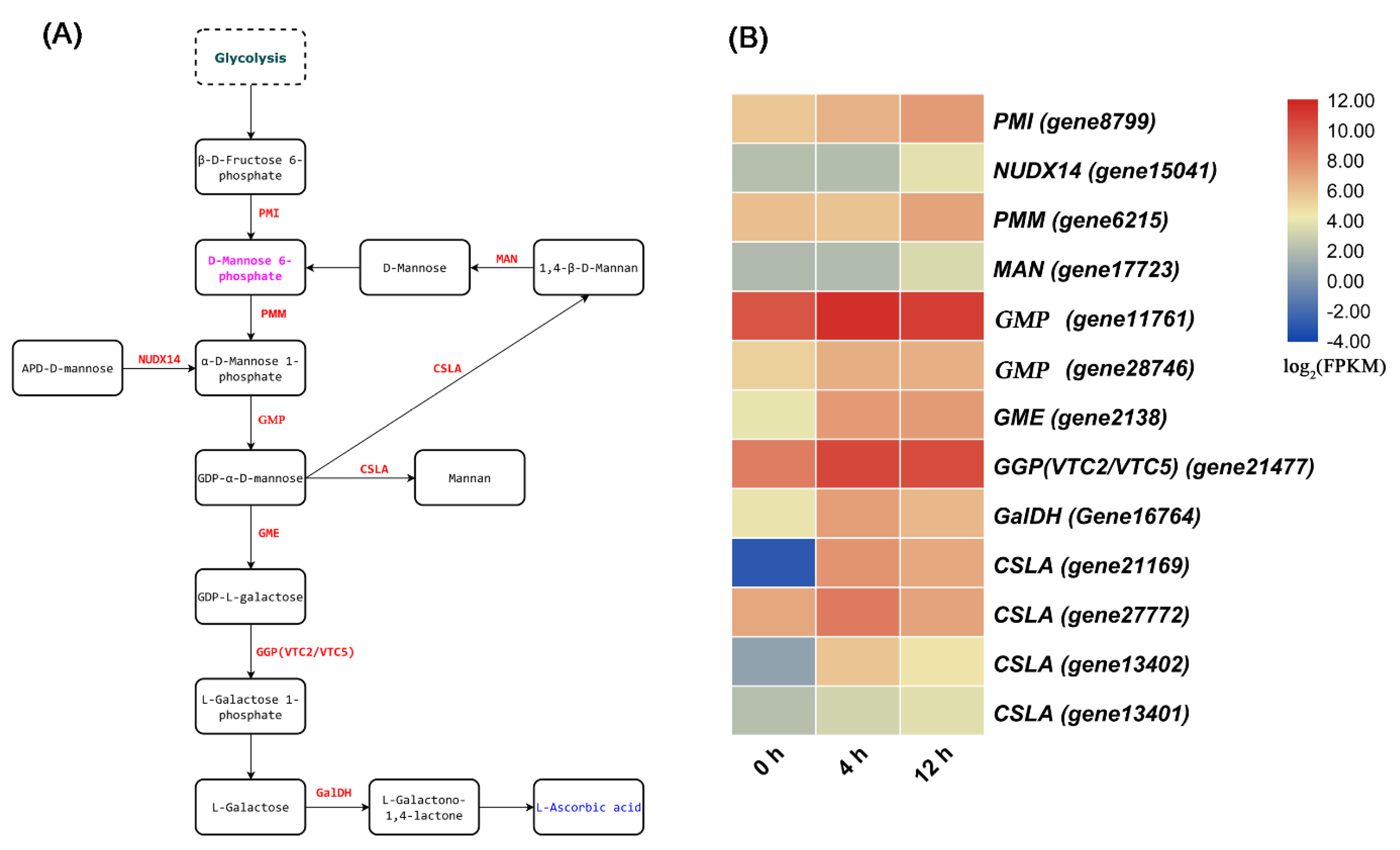Biomolecules 11 00736 g006 Biomolecules 11 00736 g006