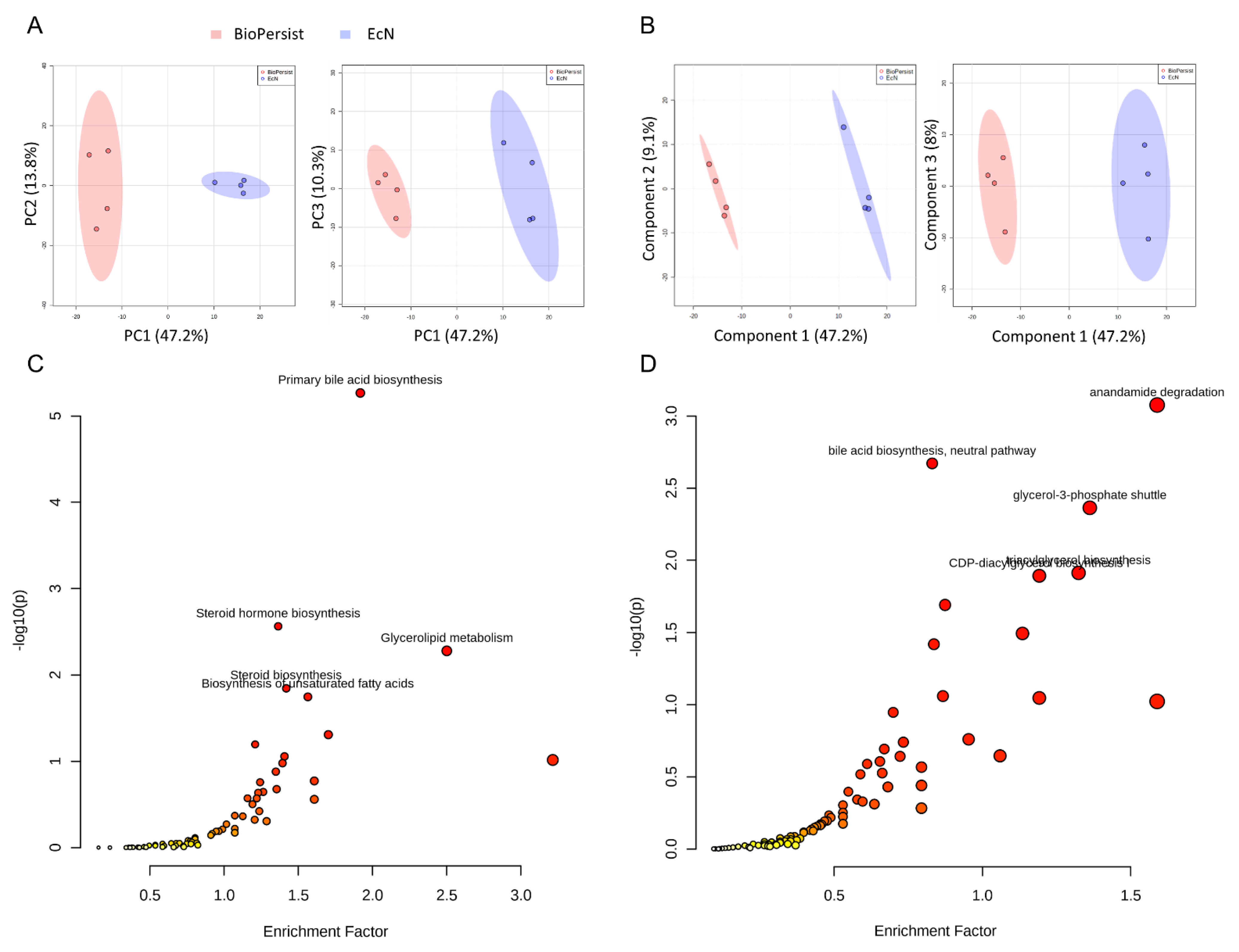 Biomolecules 11 00738 g001