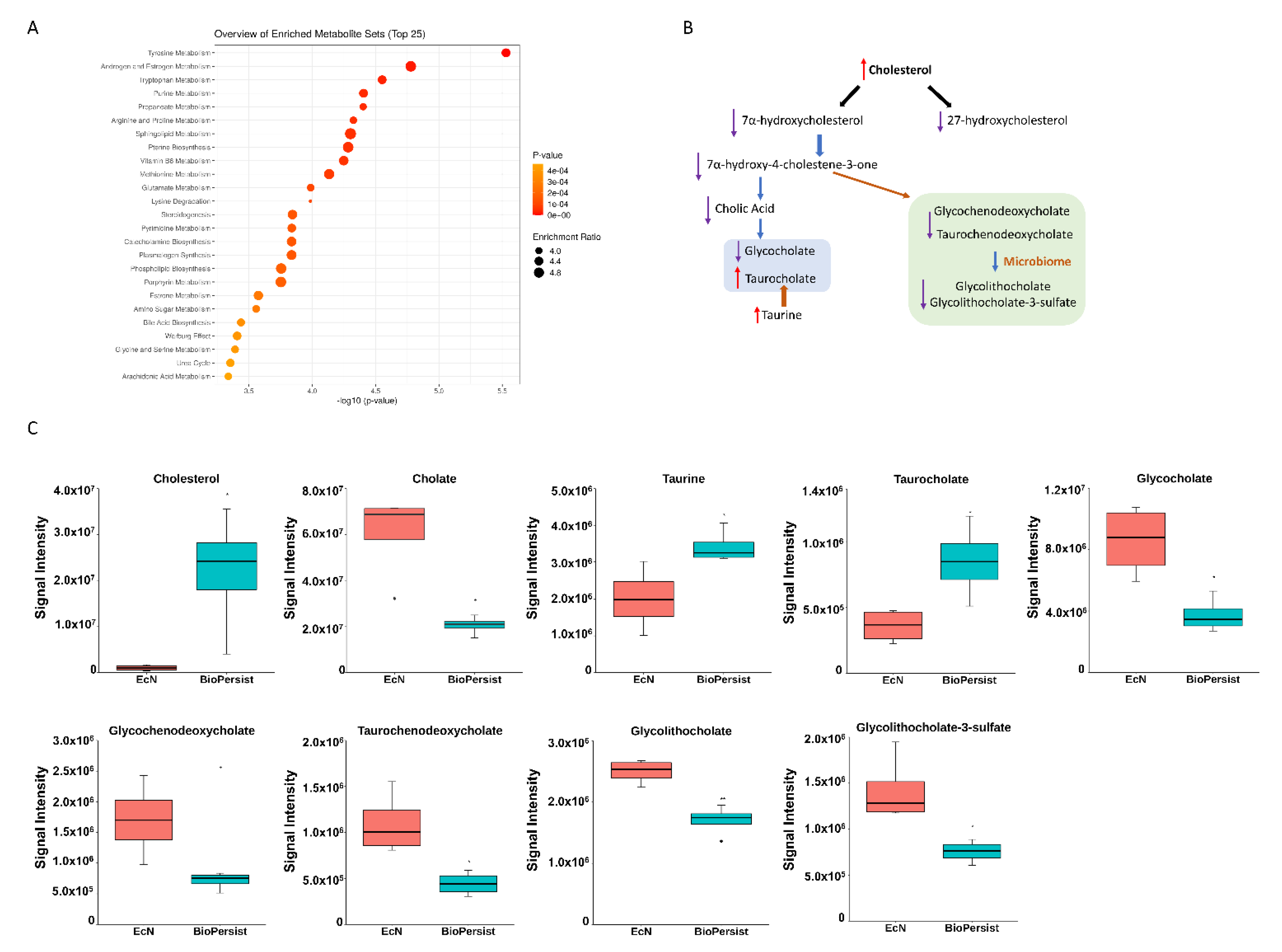 Biomolecules 11 00738 g002
