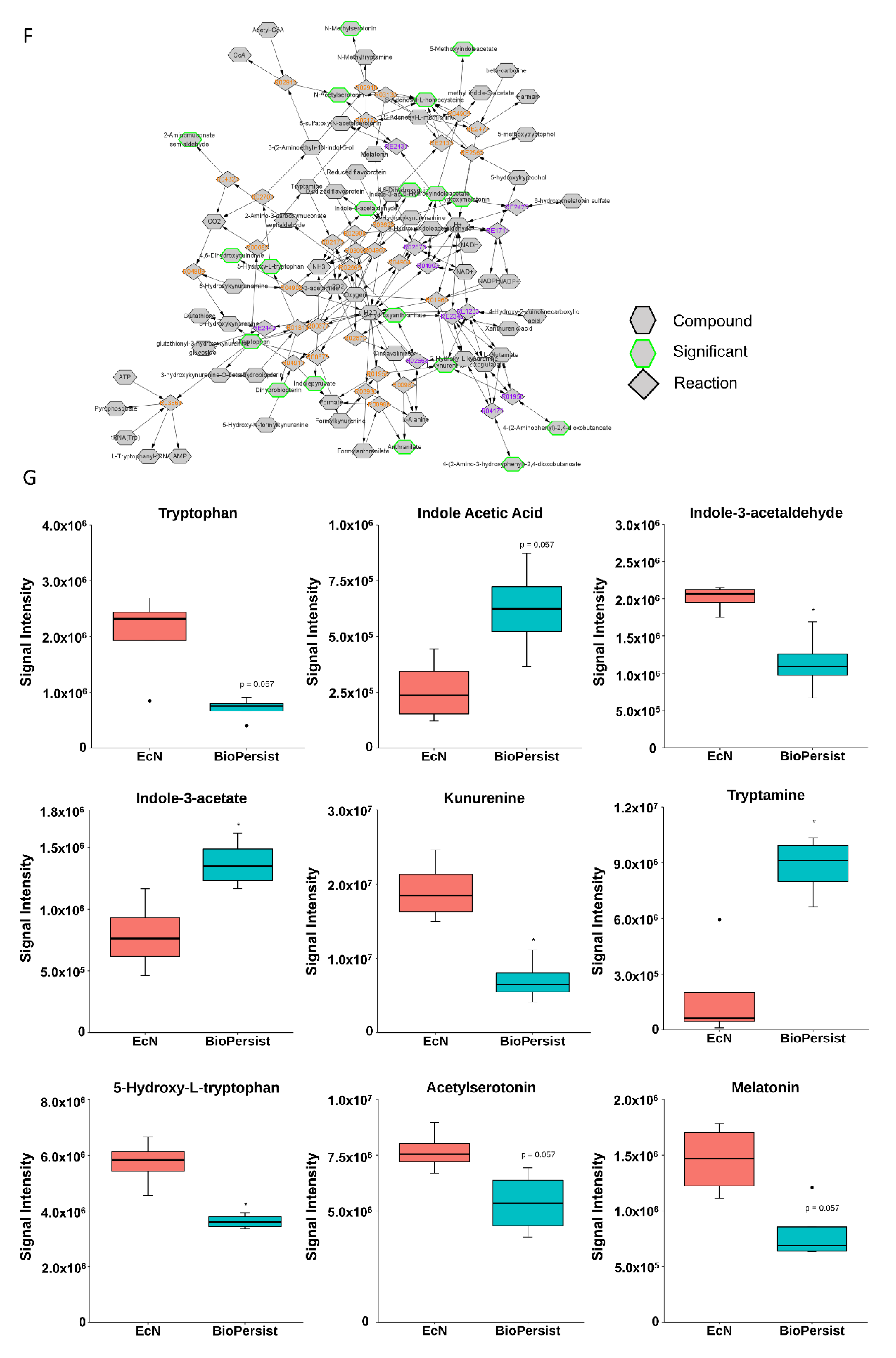 Biomolecules 11 00738 g004b