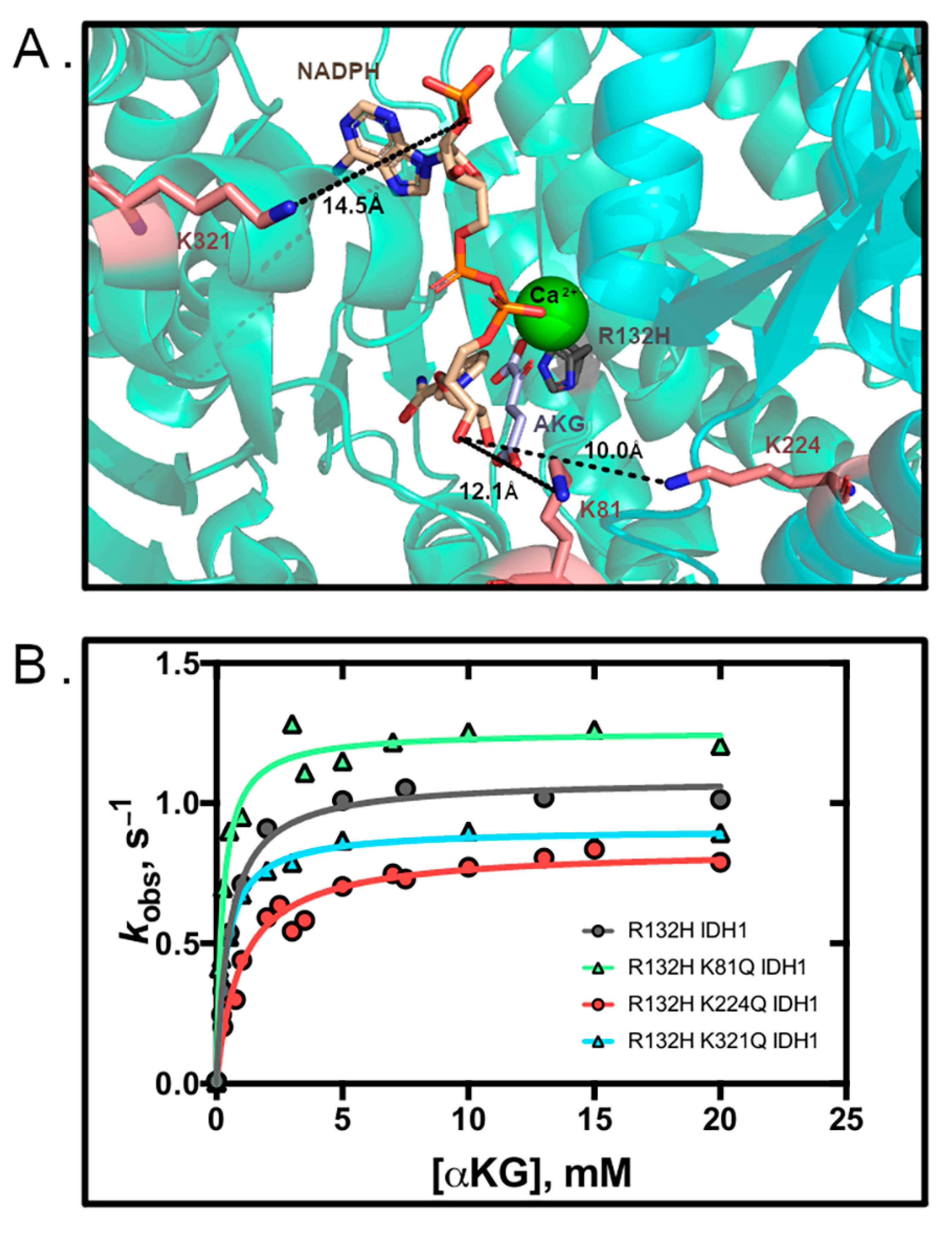 Biomolecules 11 00740 g002 Biomolecules 11 00740 g002
