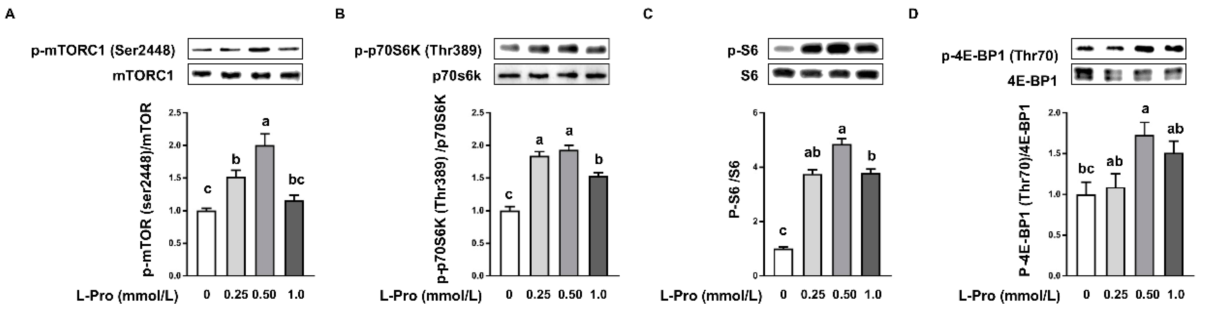 Biomolecules 11 00742 g002 Biomolecules 11 00742 g002