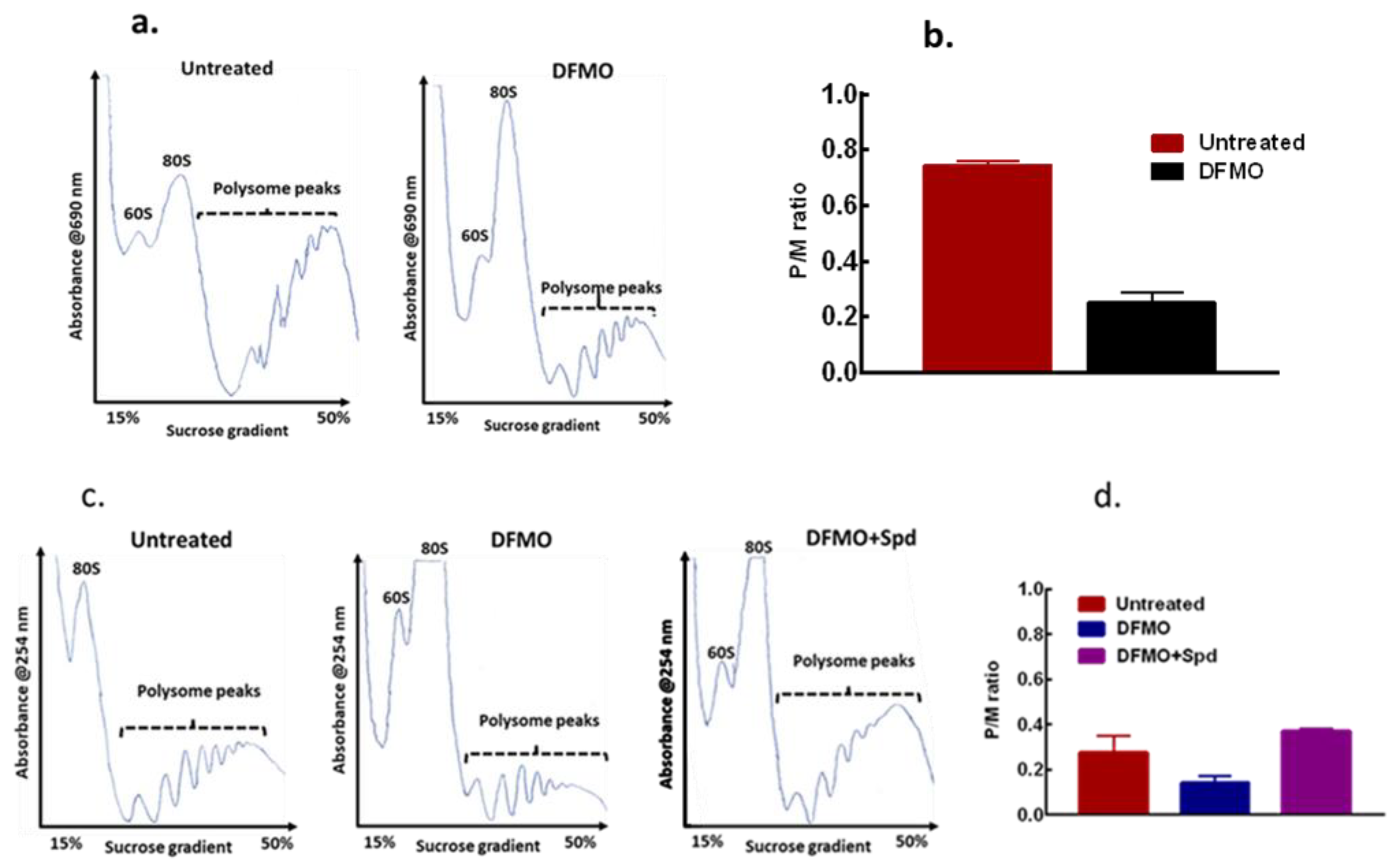 Biomolecules 11 00743 g006