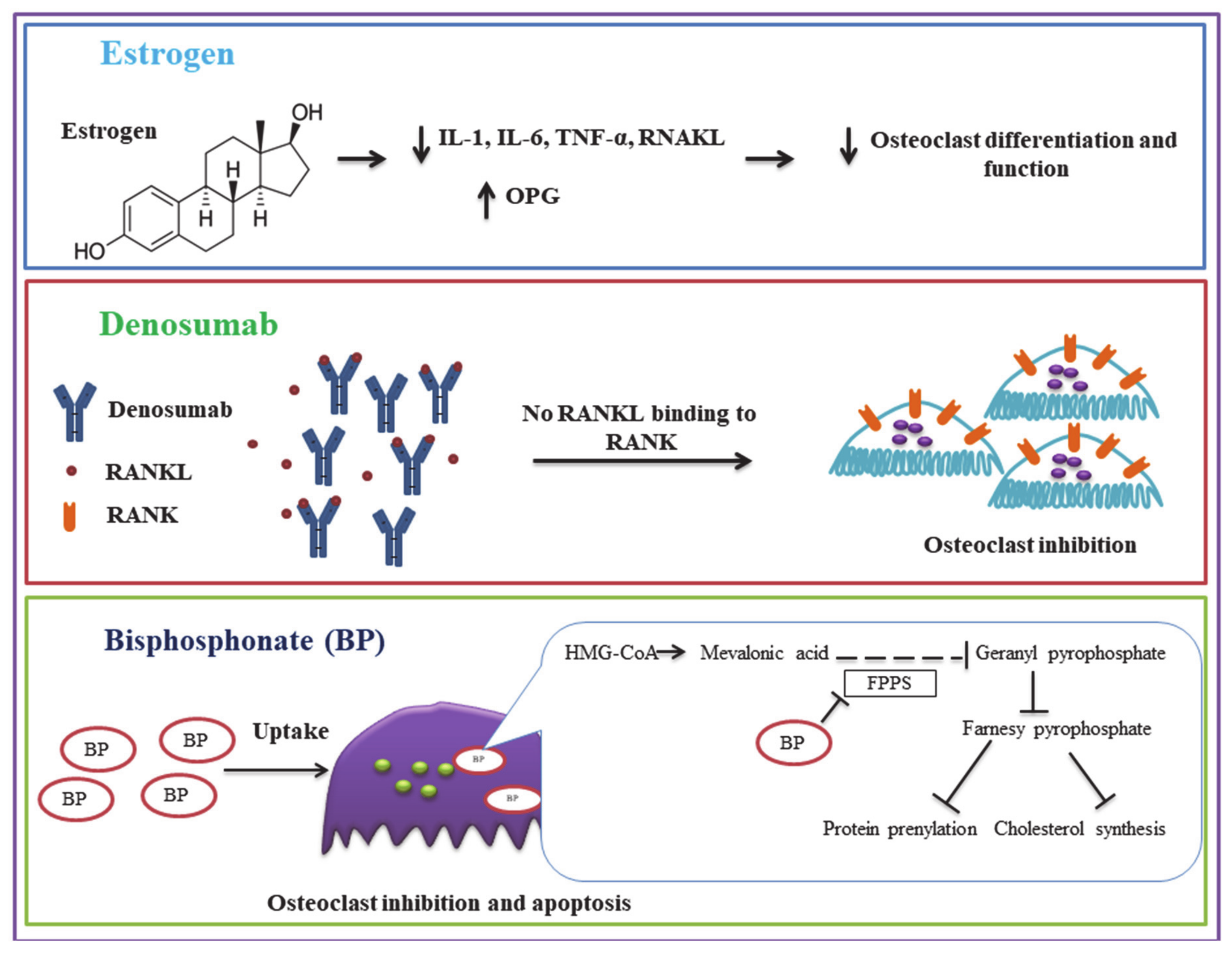 Biomolecules 11 00747 g002 Biomolecules 11 00747 g002