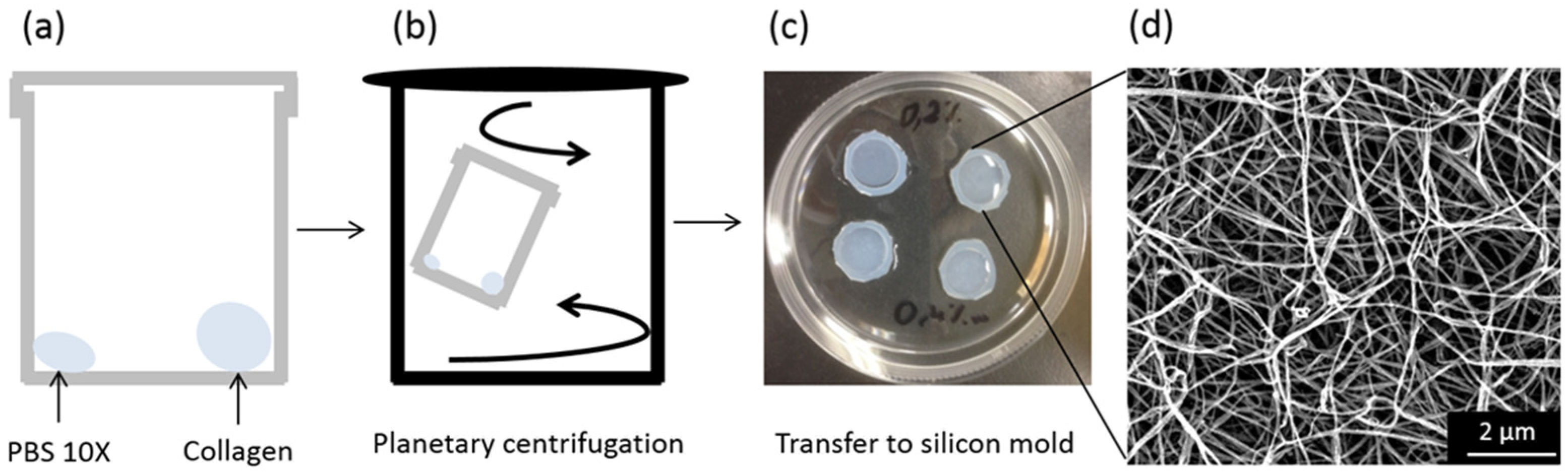 Biomolecules 11 00749 g001 Biomolecules 11 00749 g001
