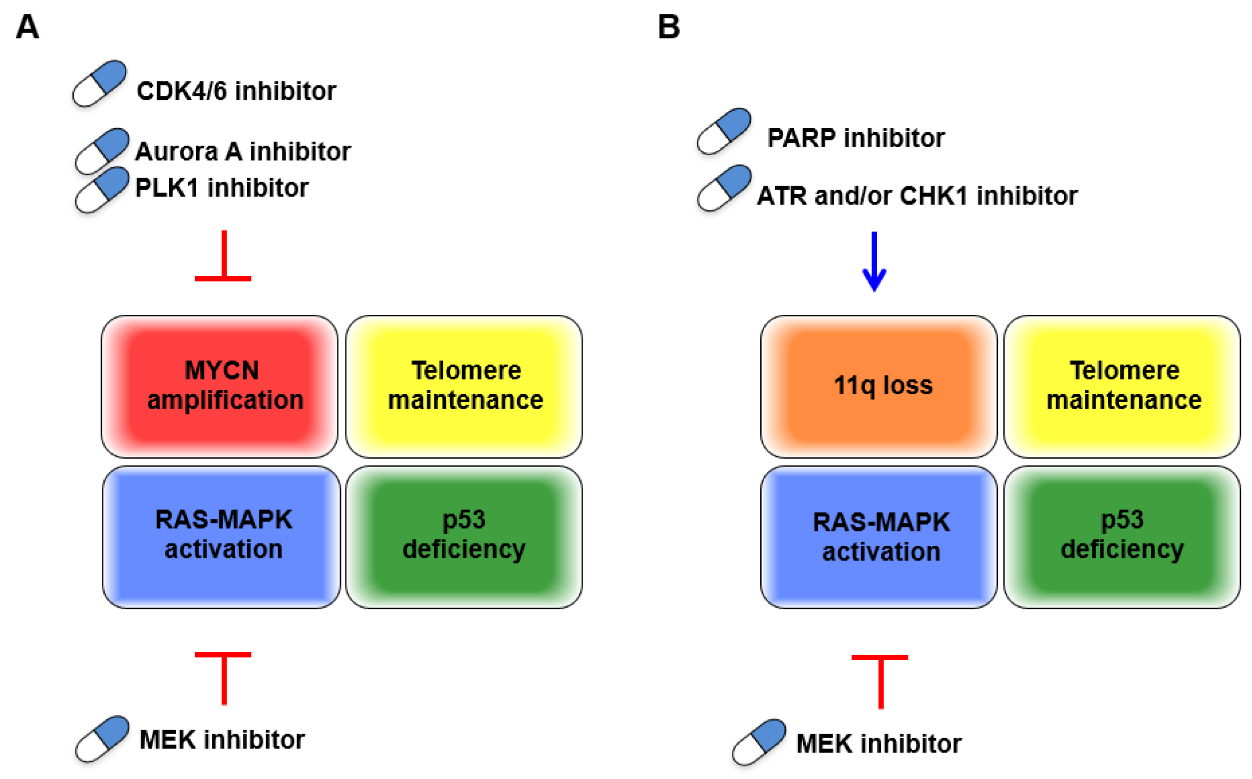 Biomolecules 11 00750 g003 Biomolecules 11 00750 g003