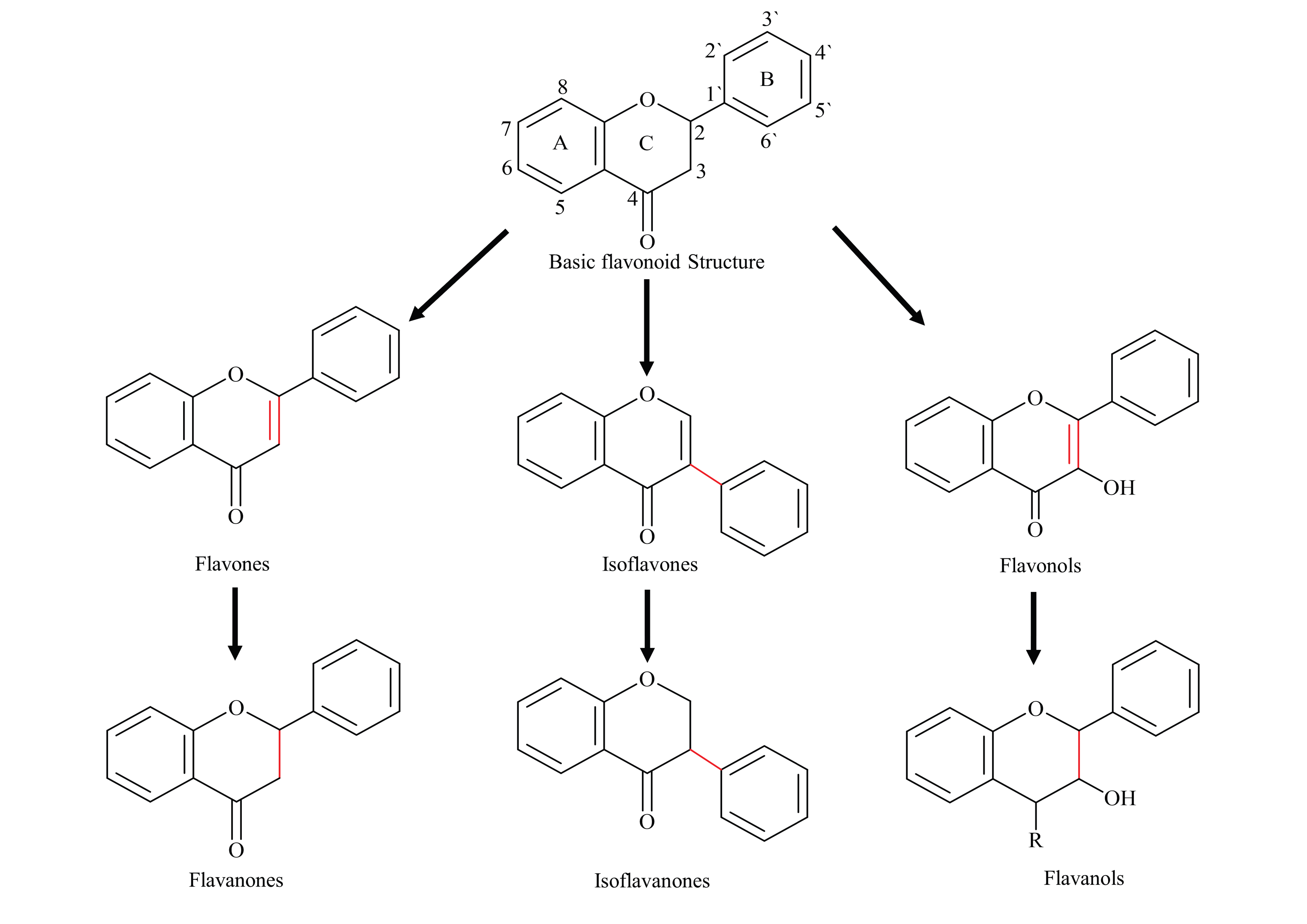 Biomolecules 11 00754 g001 Biomolecules 11 00754 g001