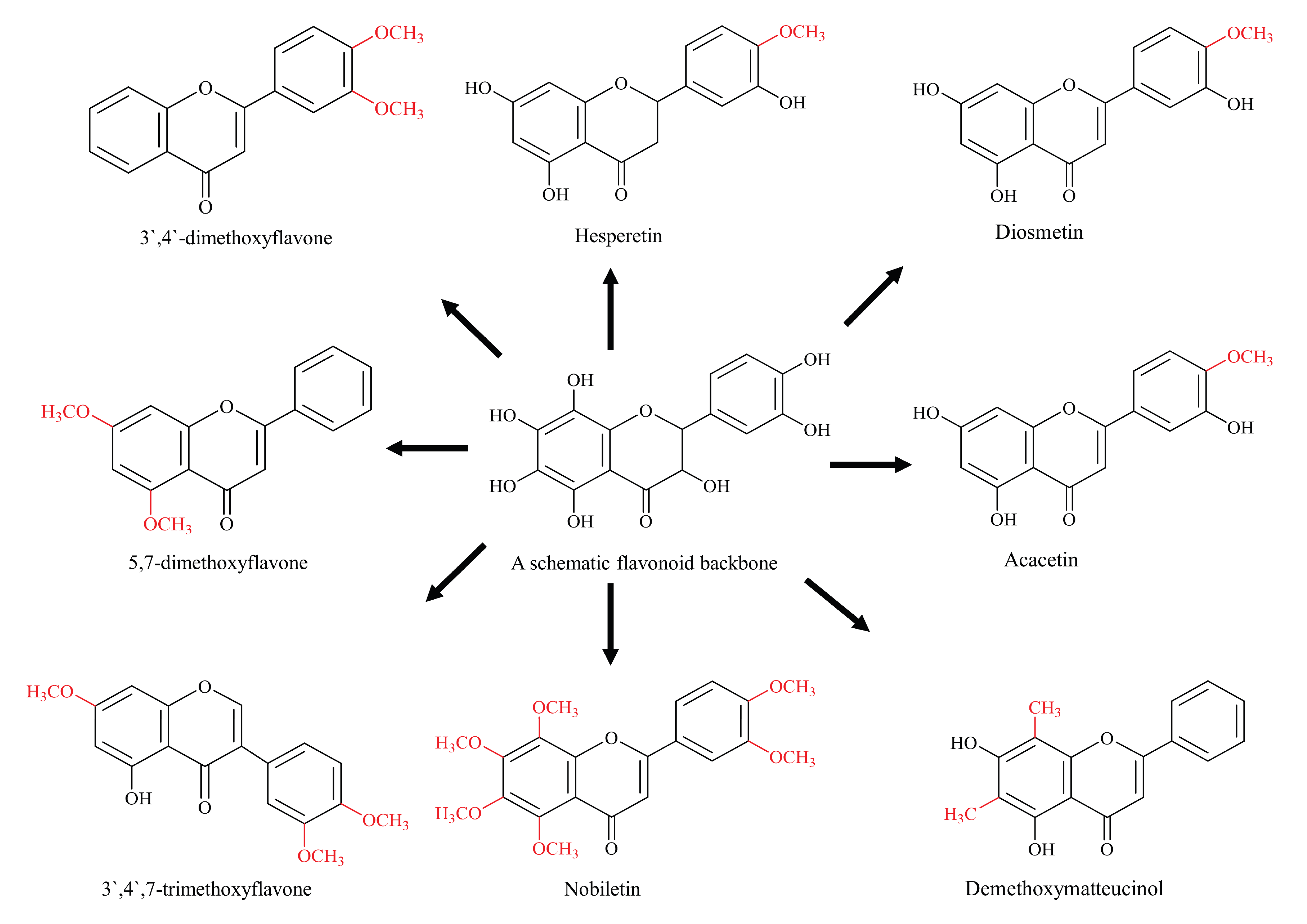 Biomolecules 11 00754 g002 Biomolecules 11 00754 g002