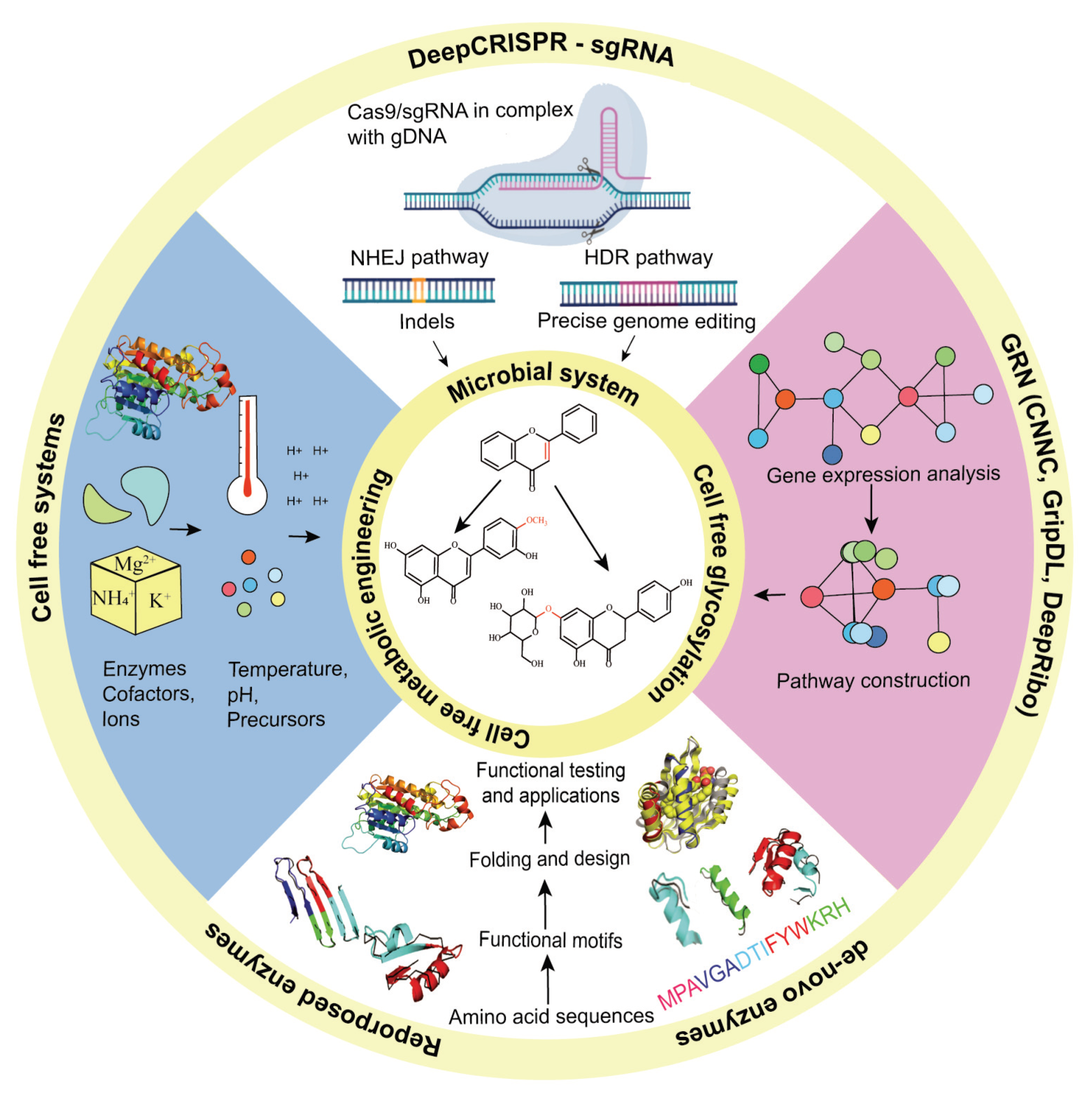 Biomolecules 11 00754 g004 Biomolecules 11 00754 g004