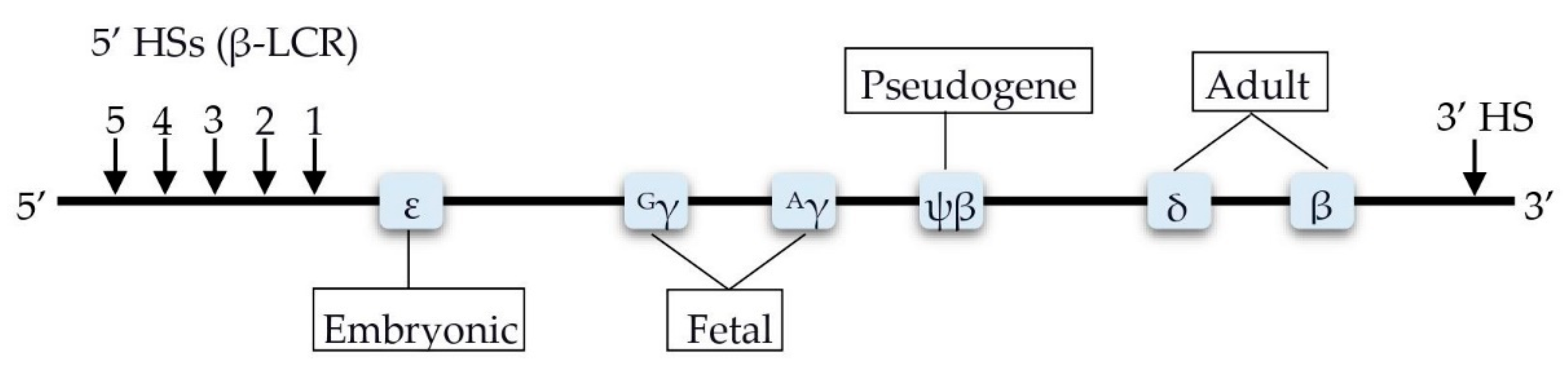 Biomolecules 11 00755 g002 Biomolecules 11 00755 g002