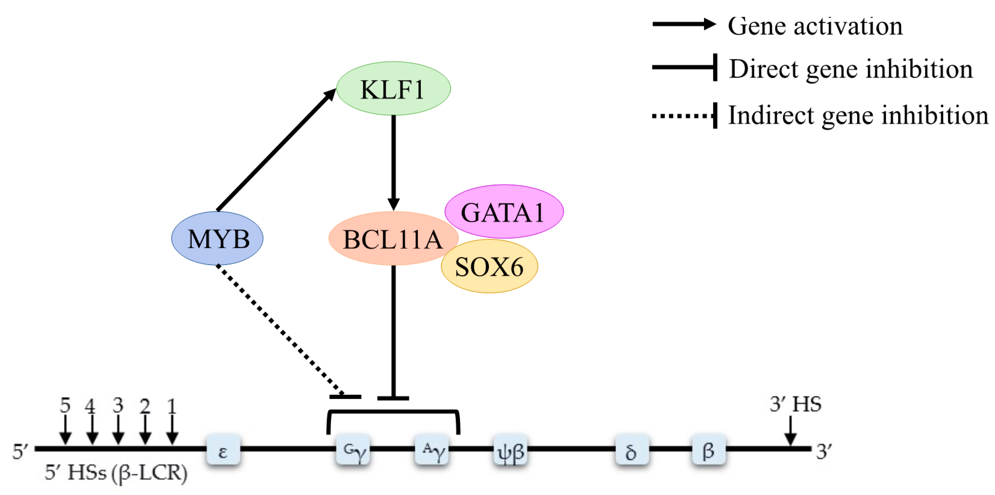 Biomolecules 11 00755 g003 Biomolecules 11 00755 g003