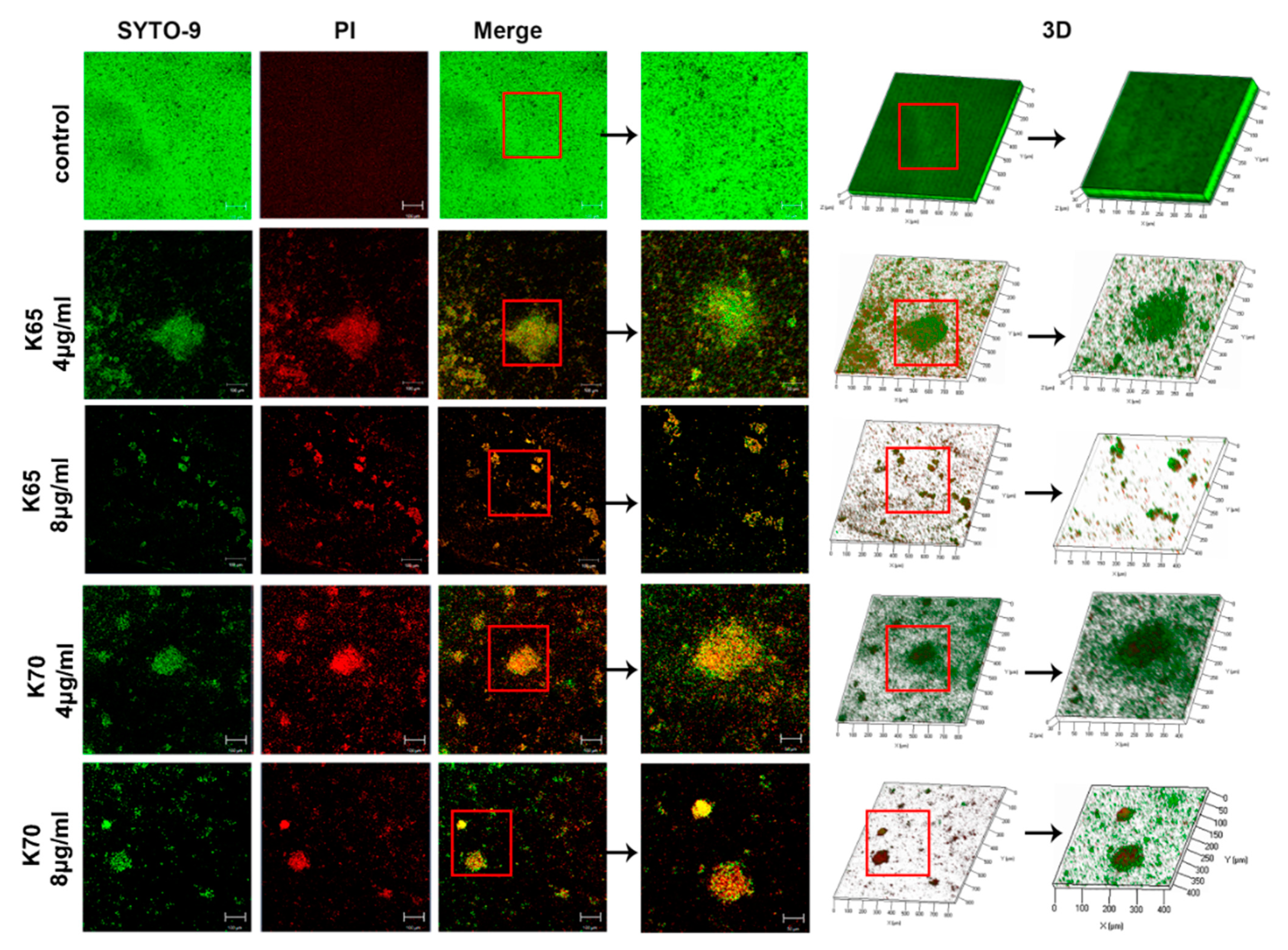 Biomolecules 11 00761 g005