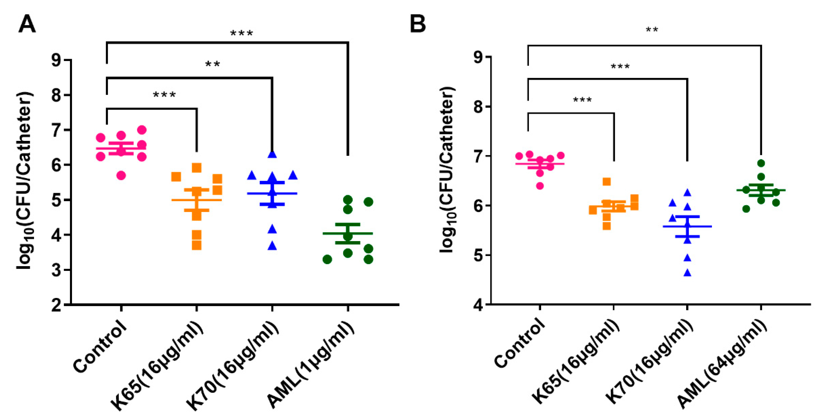 Biomolecules 11 00761 g010