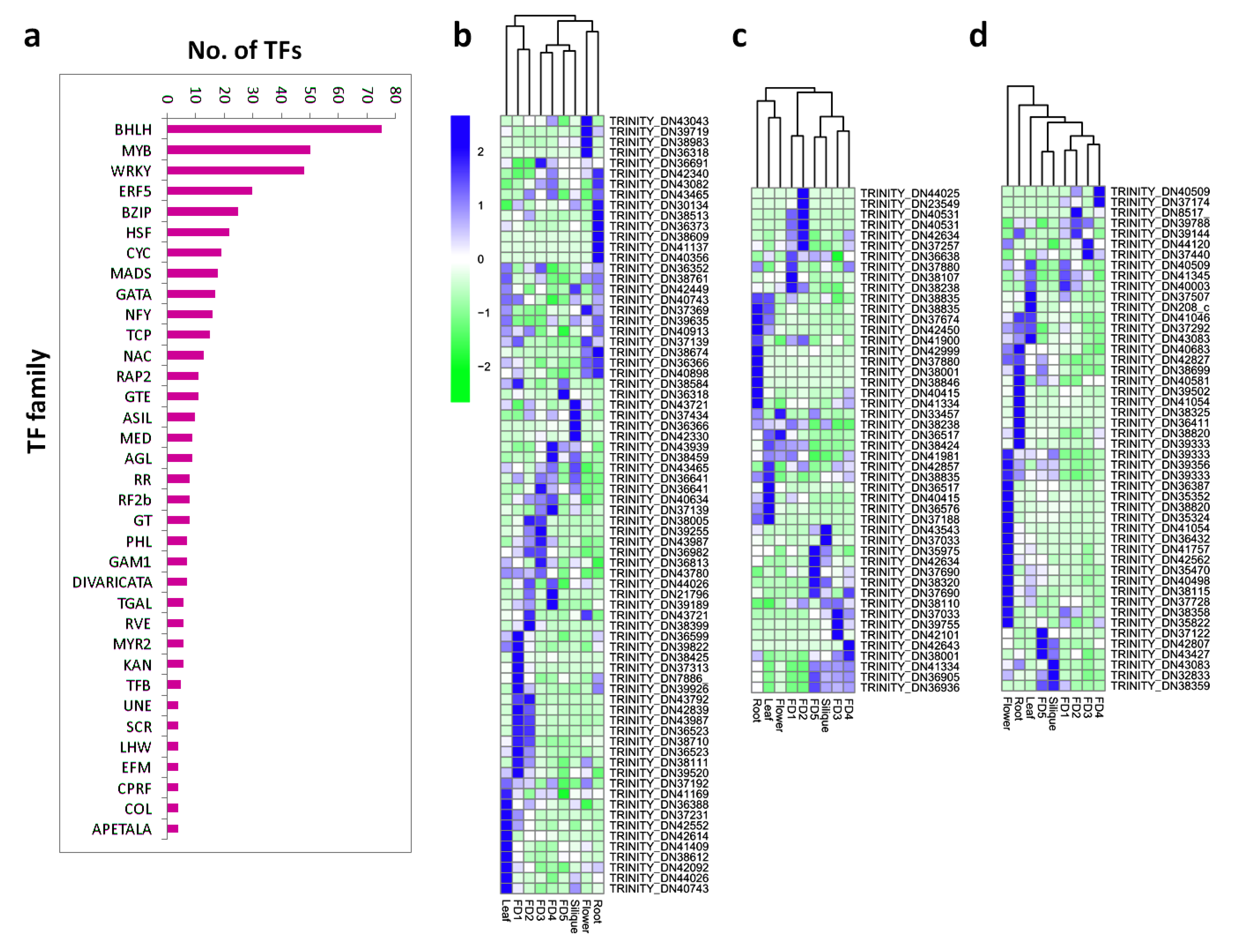 Biomolecules 11 00771 g002 Biomolecules 11 00771 g002