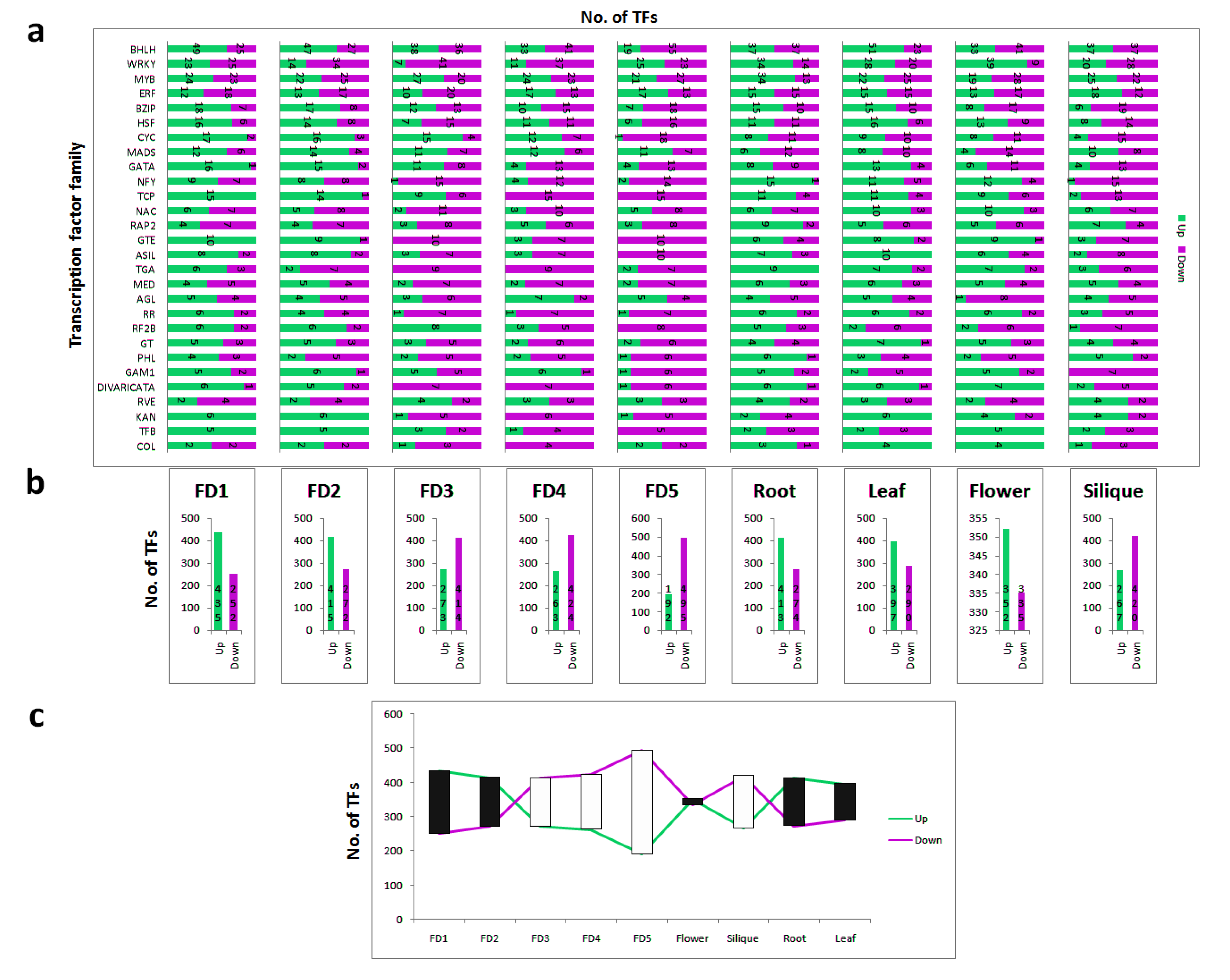 Biomolecules 11 00771 g003 Biomolecules 11 00771 g003