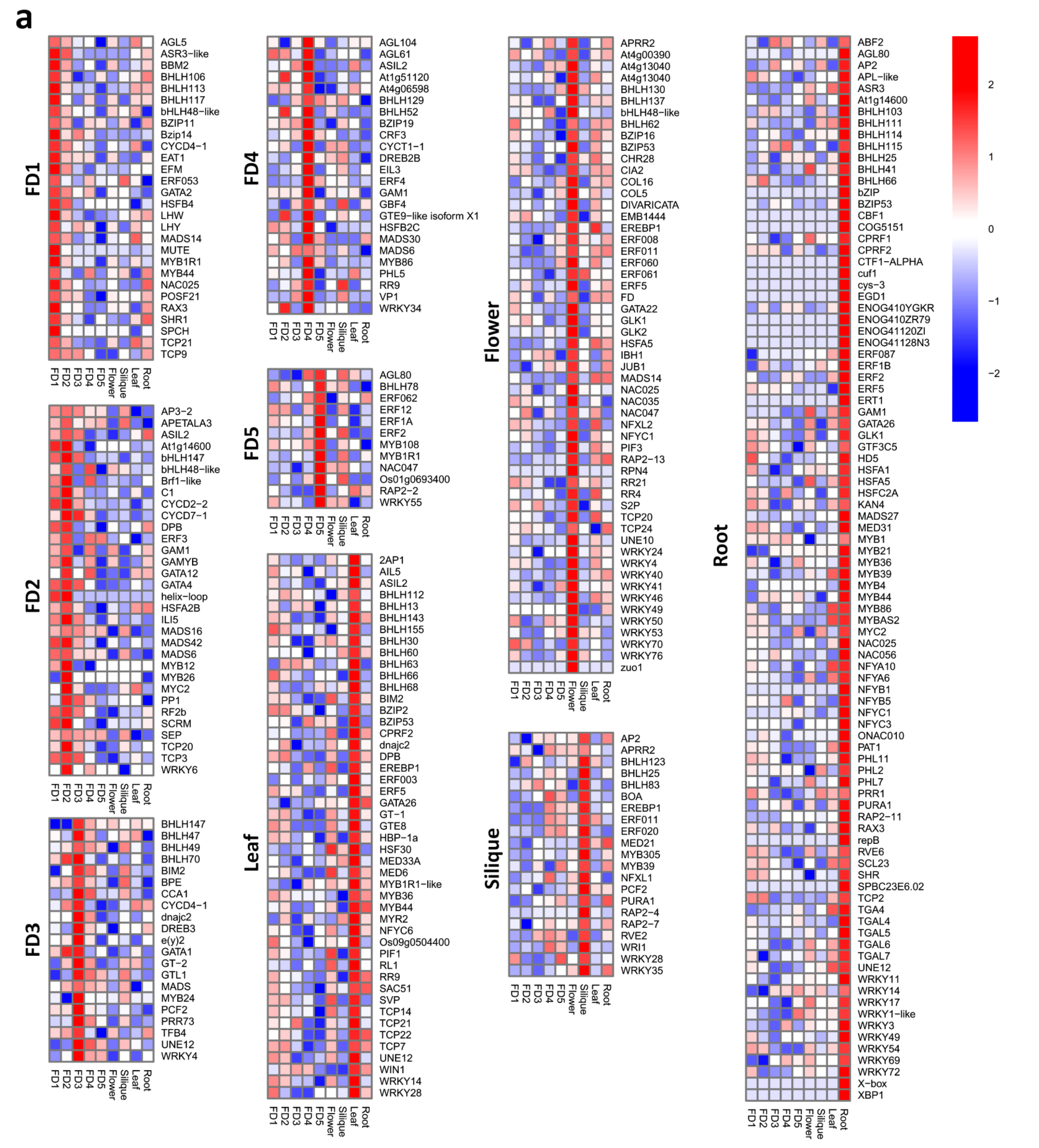 Biomolecules 11 00771 g005a Biomolecules 11 00771 g005a