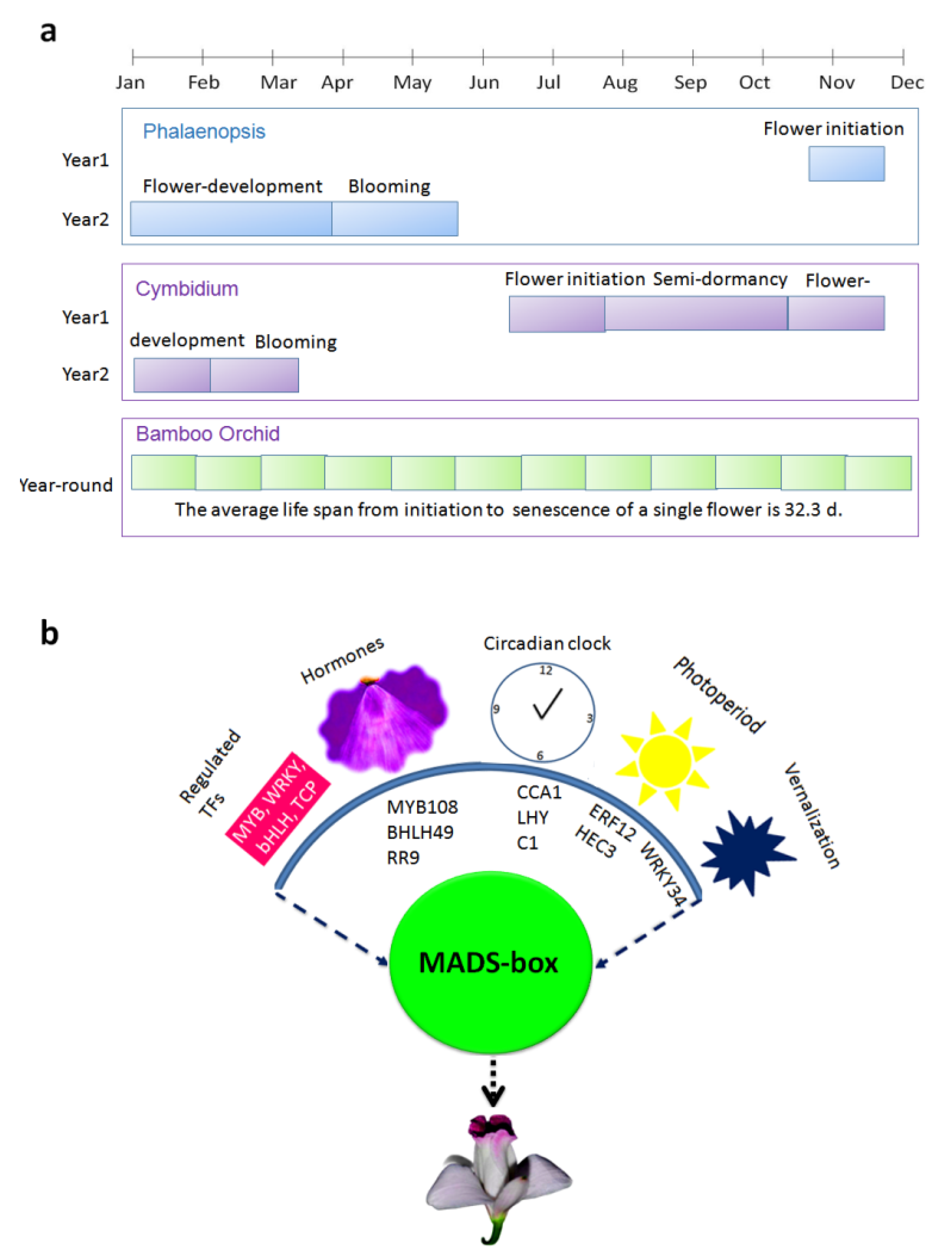 Biomolecules 11 00771 g007 Biomolecules 11 00771 g007