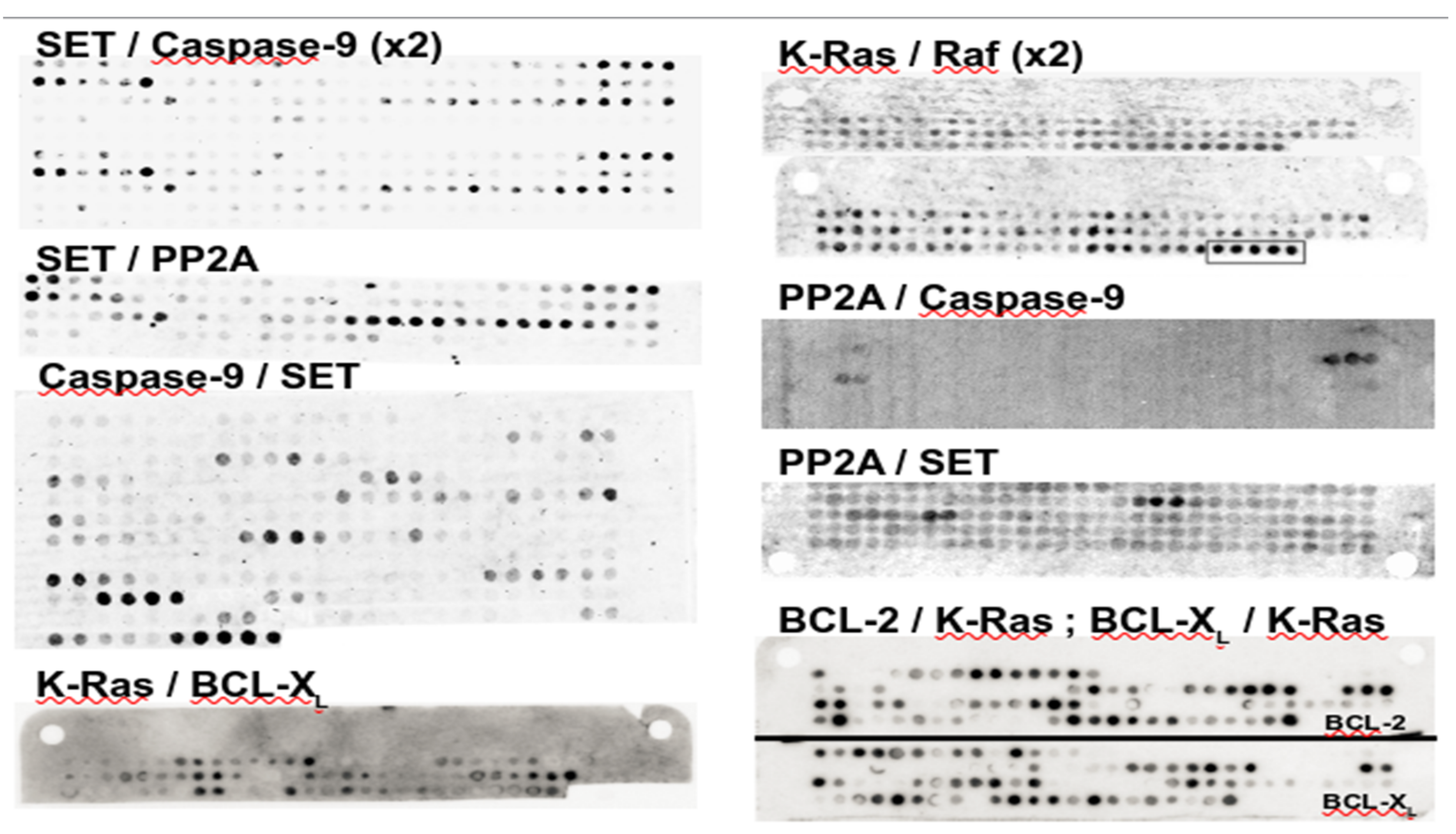 Biomolecules 11 00772 g001