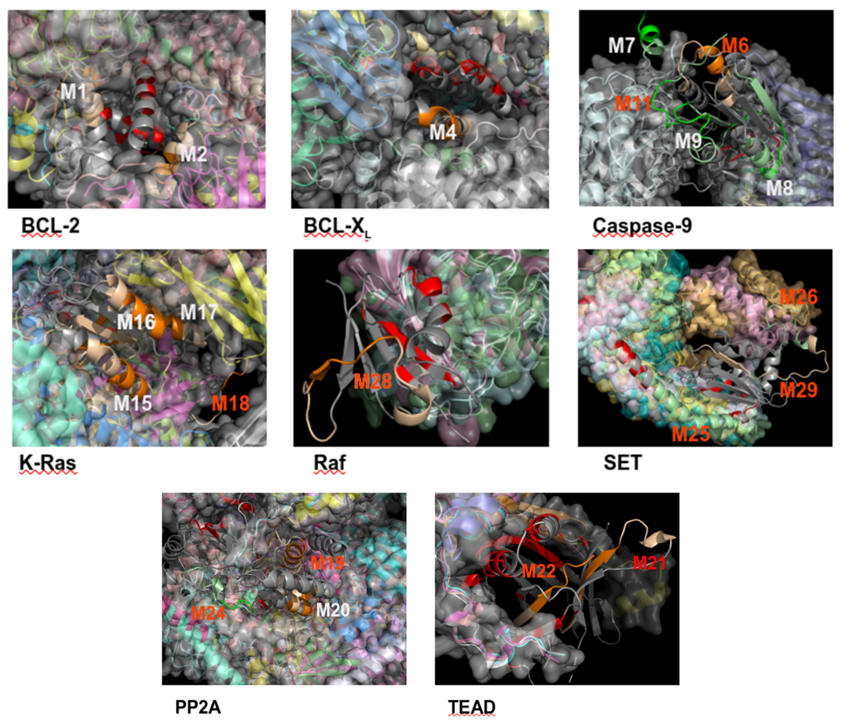 Biomolecules 11 00772 g003