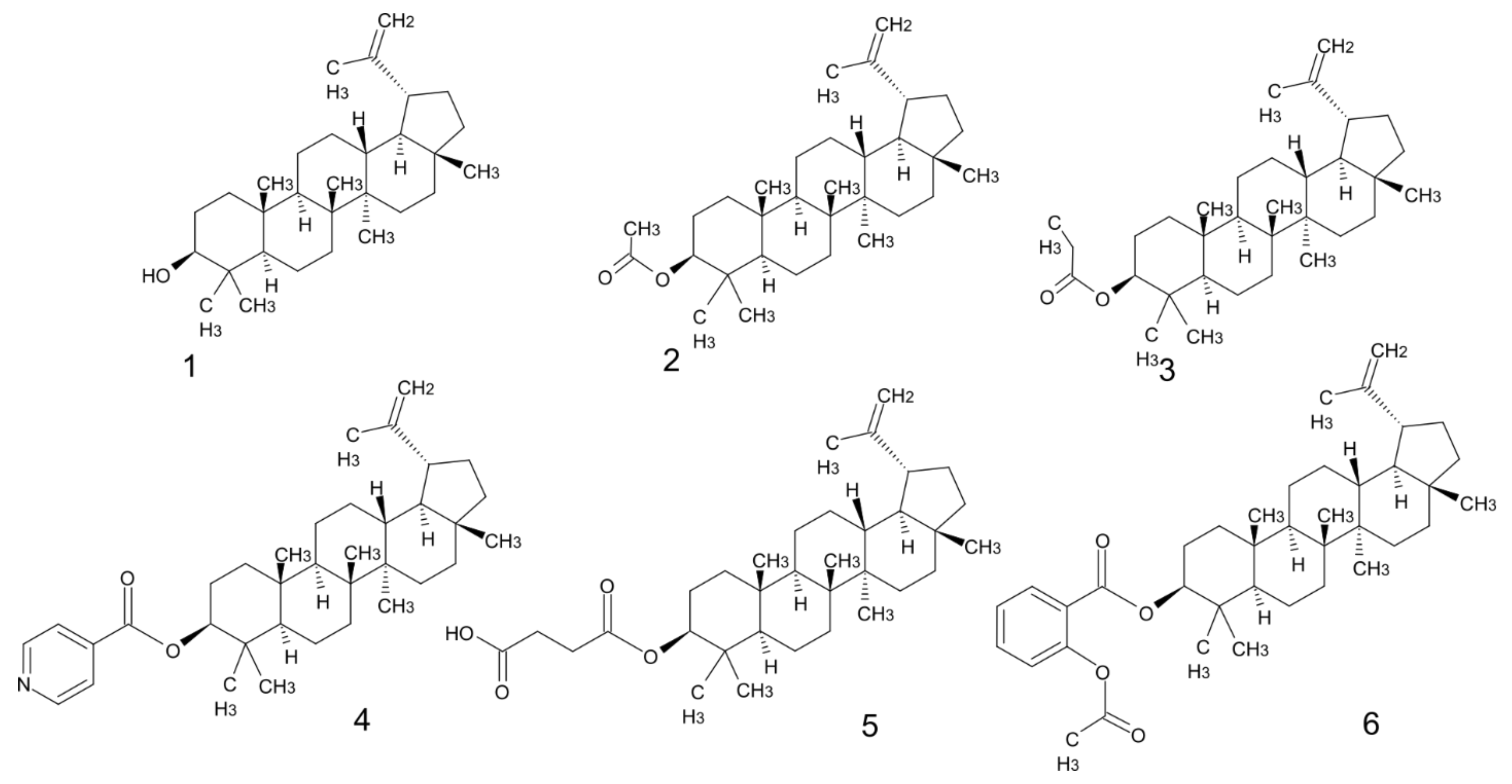 Biomolecules 11 00774 g001