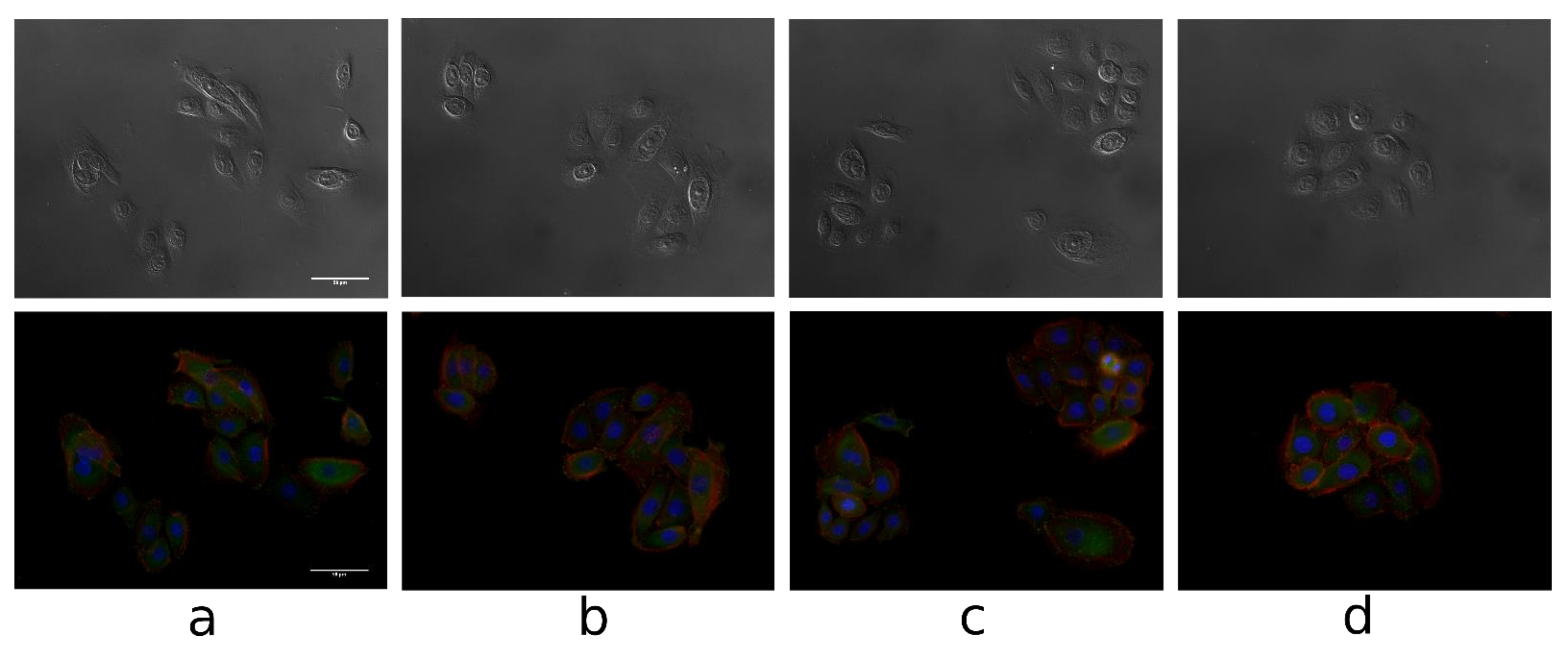 Biomolecules 11 00774 g009