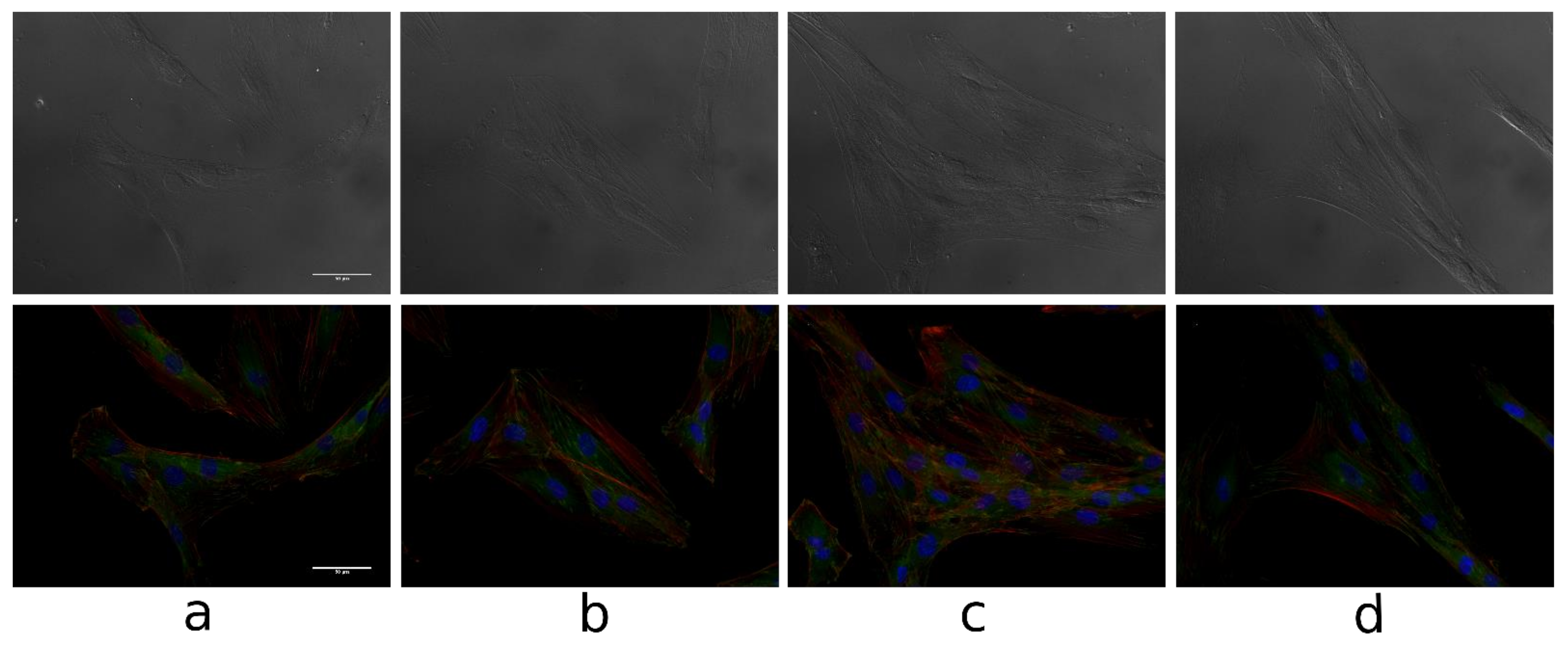 Biomolecules 11 00774 g011