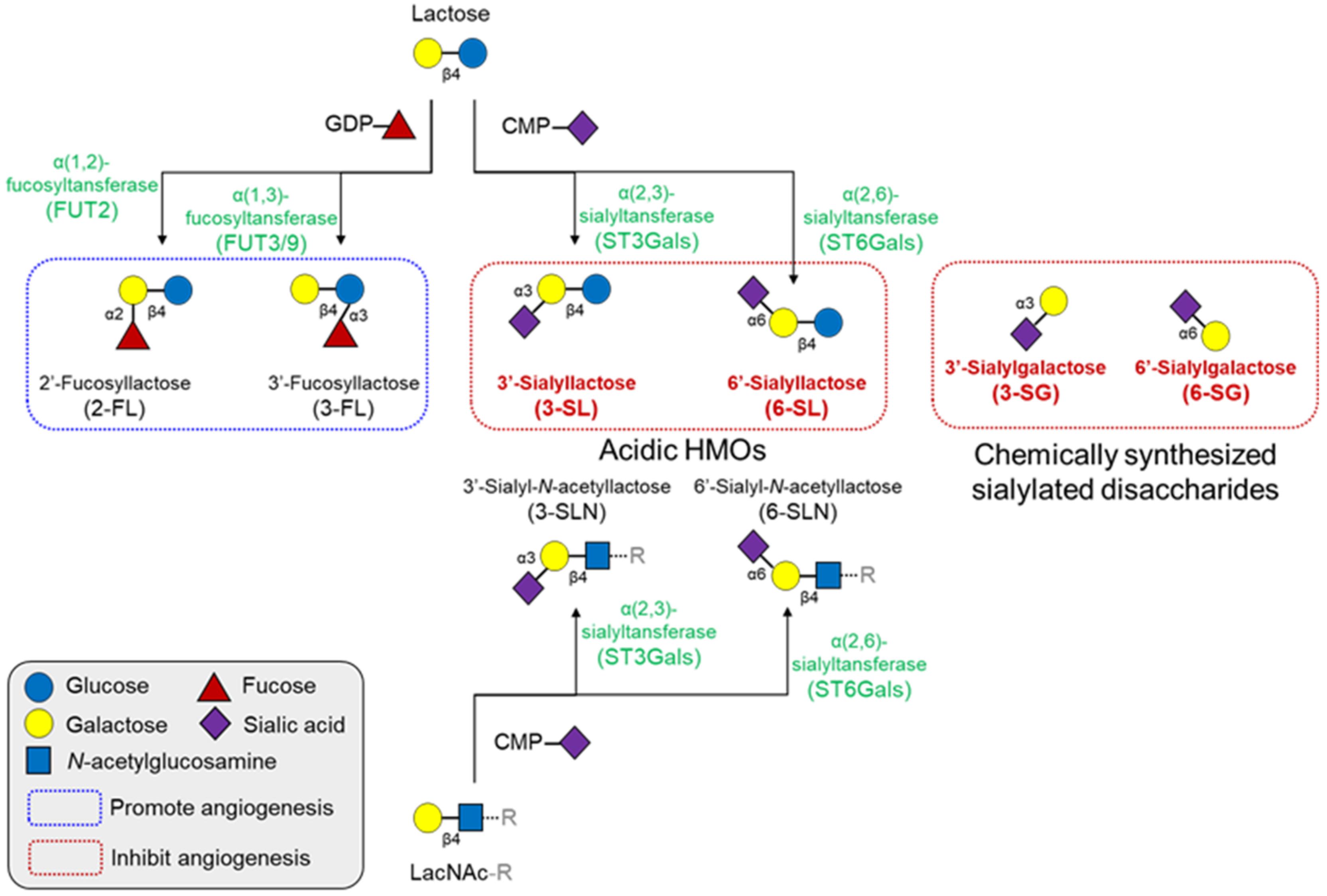 Biomolecules 11 00775 g004