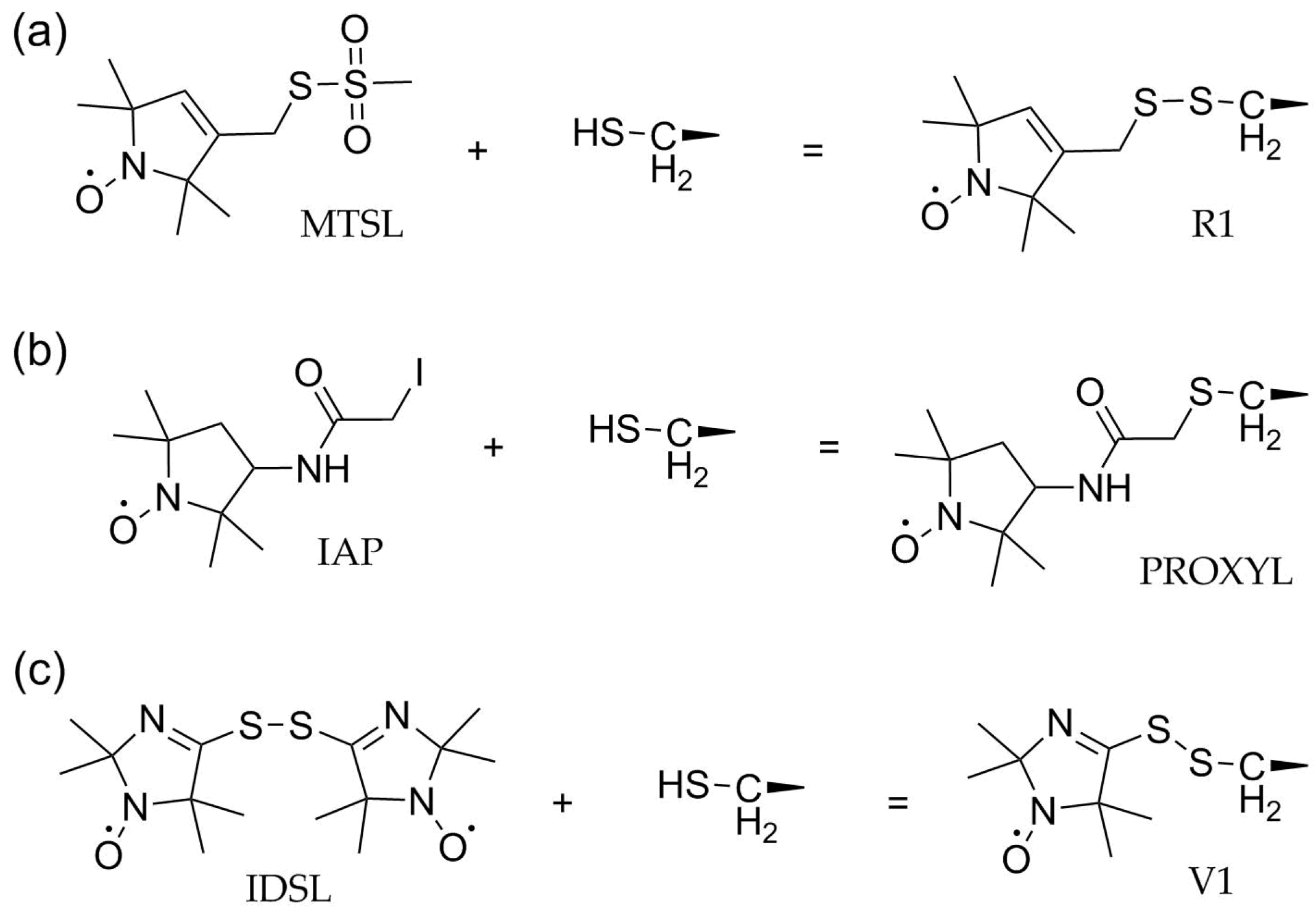 Biomolecules 11 00778 g005 Biomolecules 11 00778 g005