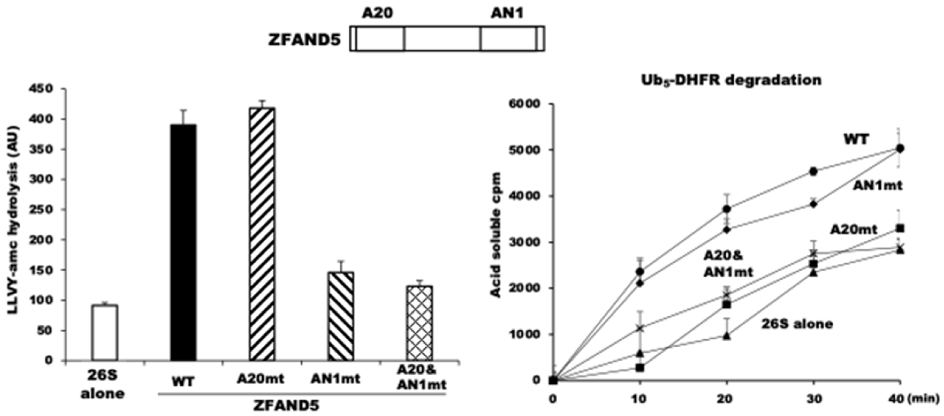 Biomolecules 11 00779 g004