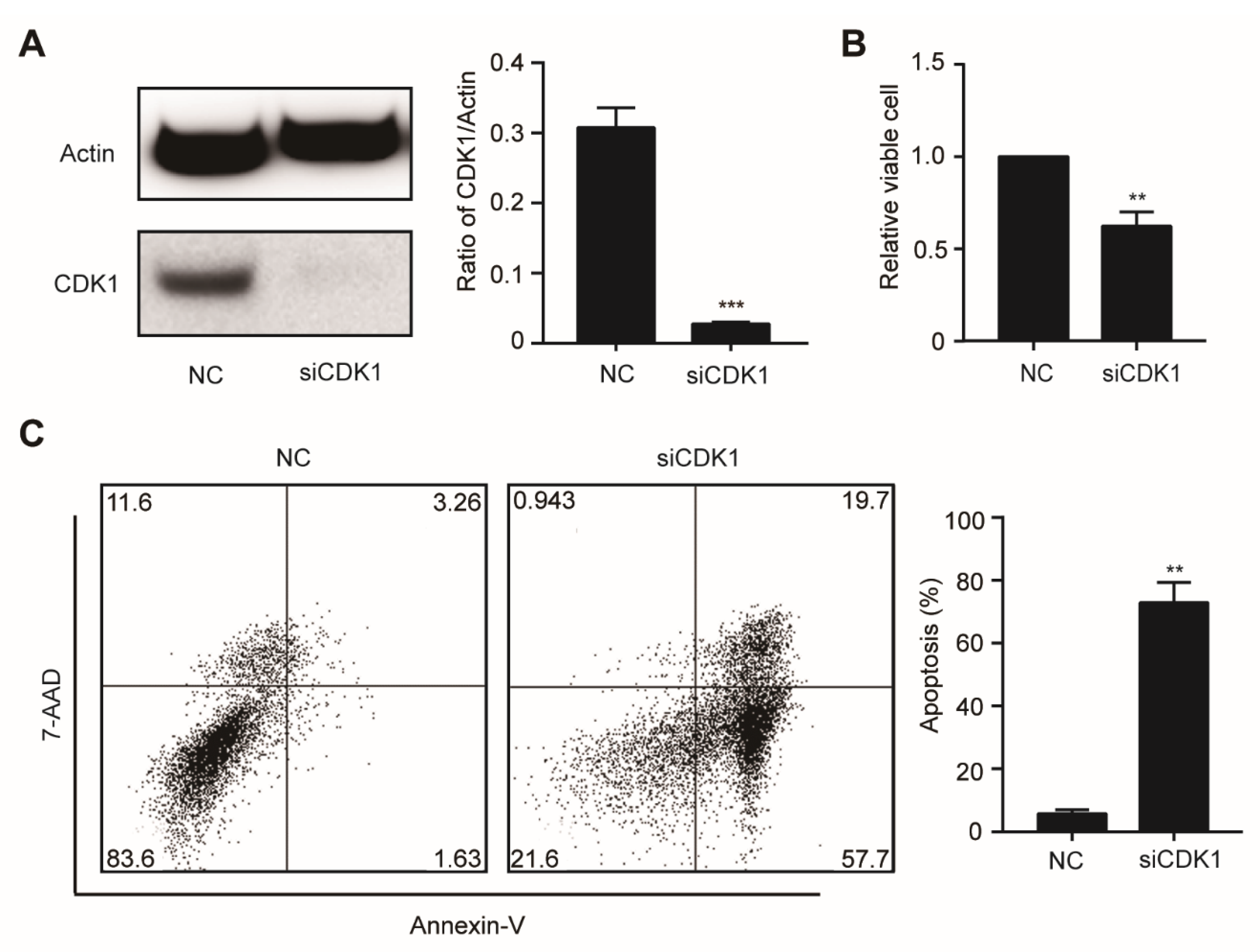 Biomolecules 11 00781 g004 Biomolecules 11 00781 g004