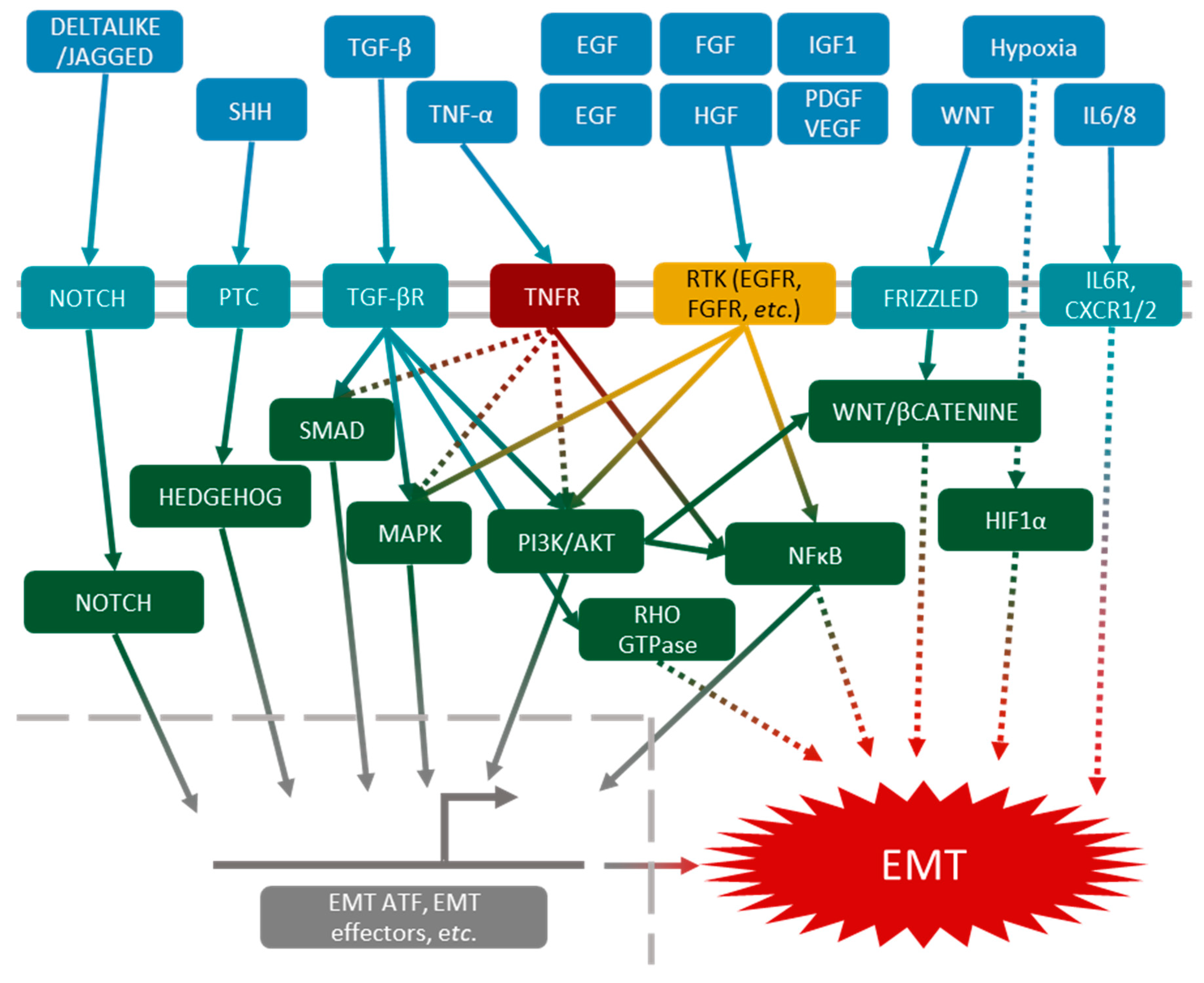 Biomolecules 11 00782 g003 Biomolecules 11 00782 g003