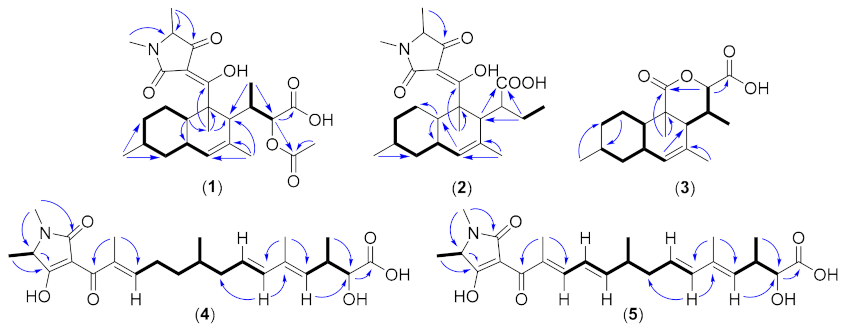 Biomolecules 11 00783 g002 Biomolecules 11 00783 g002