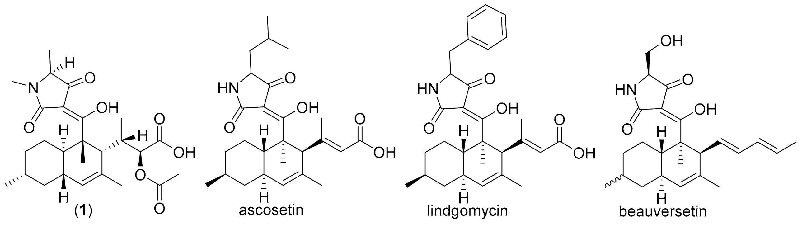 Biomolecules 11 00783 g006 Biomolecules 11 00783 g006
