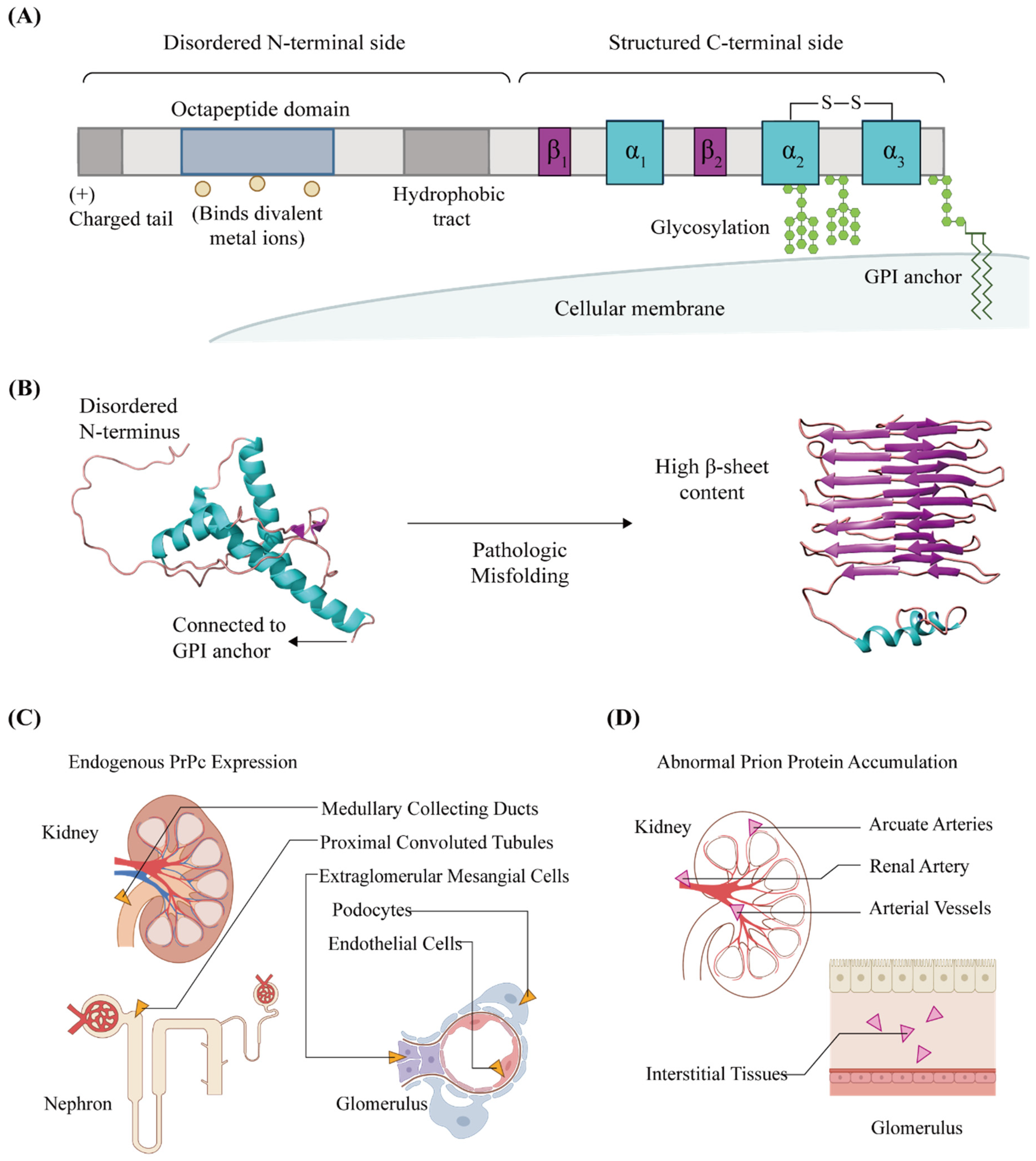 Biomolecules 11 00784 g001