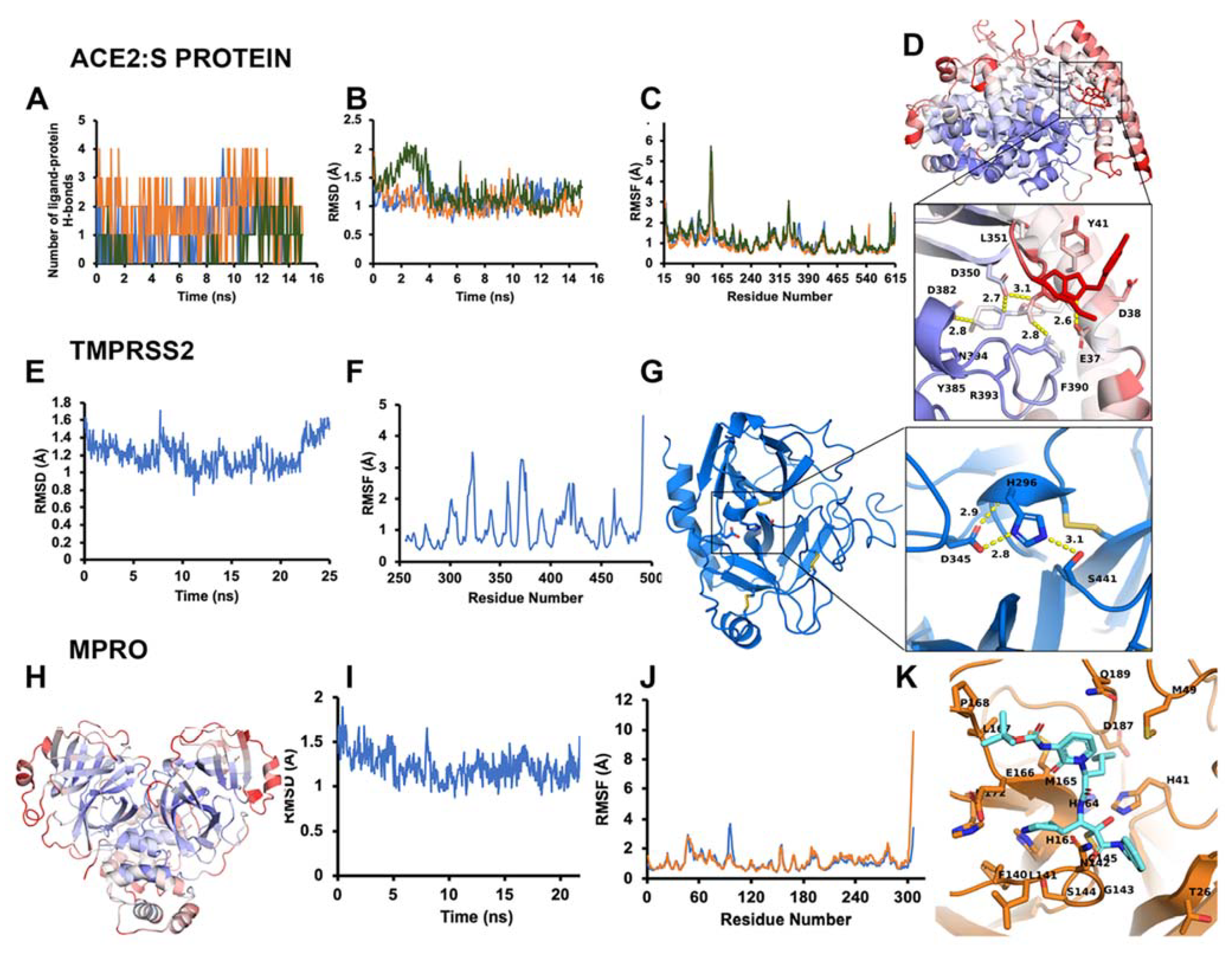 Biomolecules 11 00787 g004