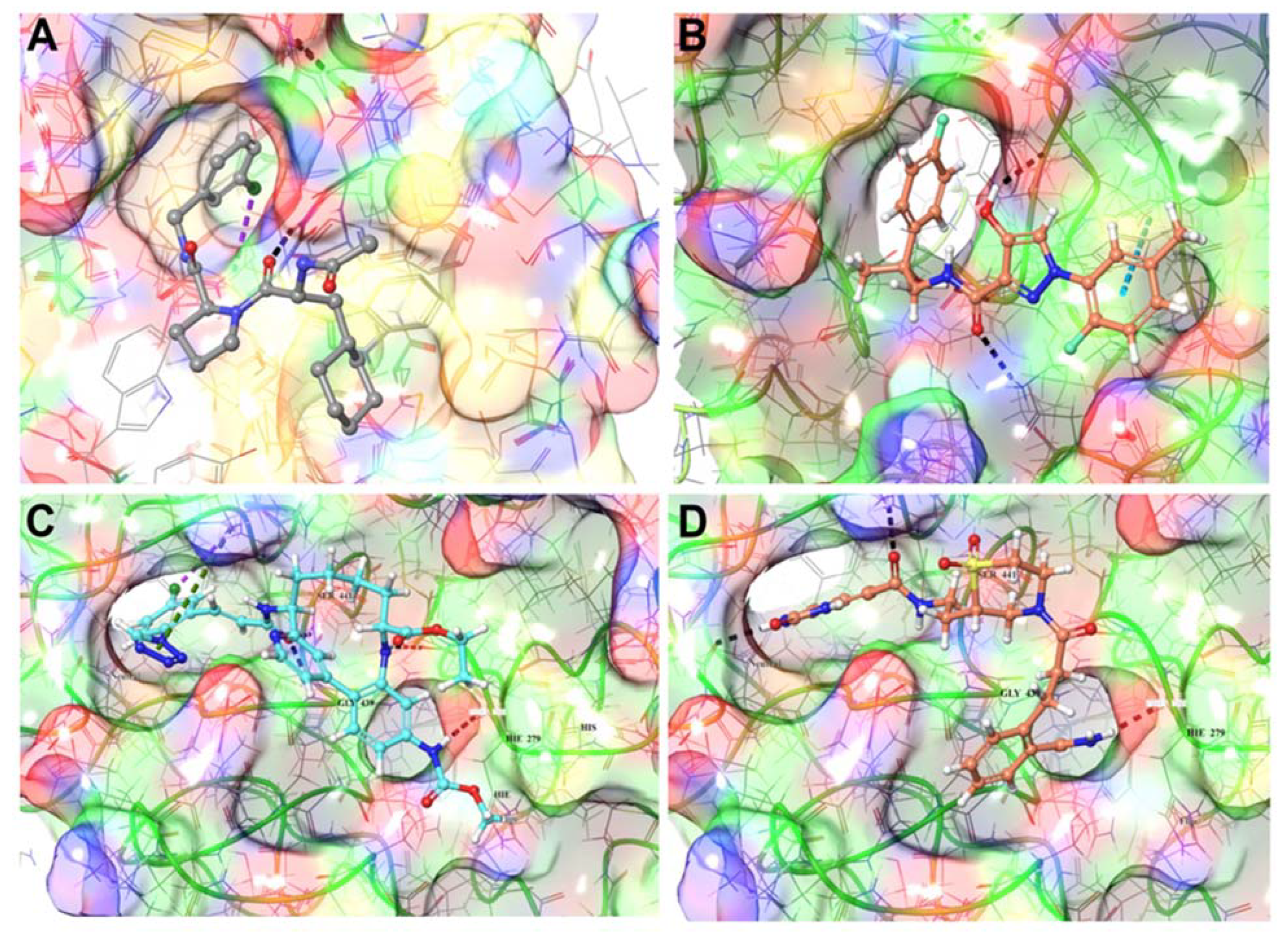 Biomolecules 11 00787 g005