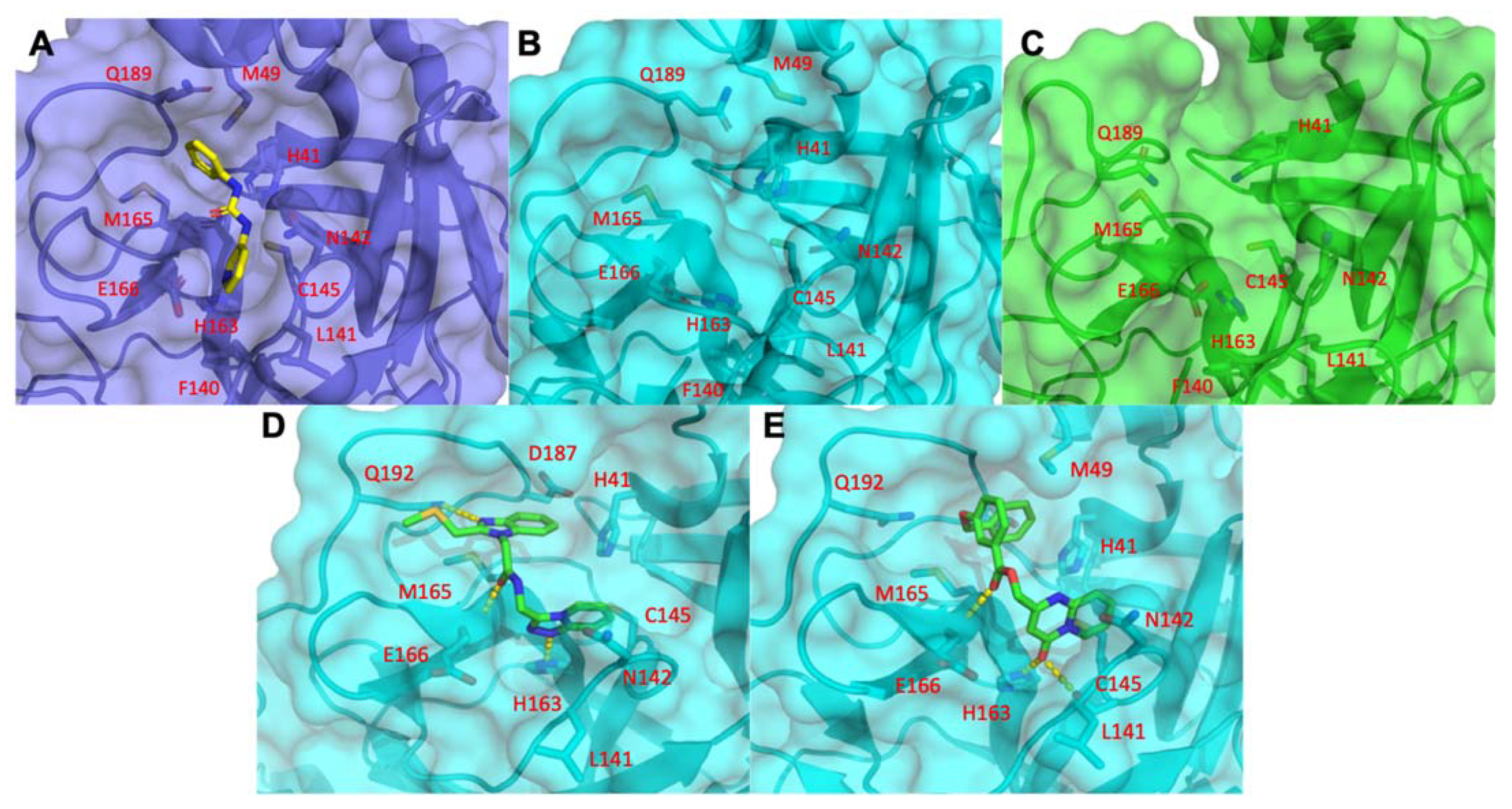 Biomolecules 11 00787 g006
