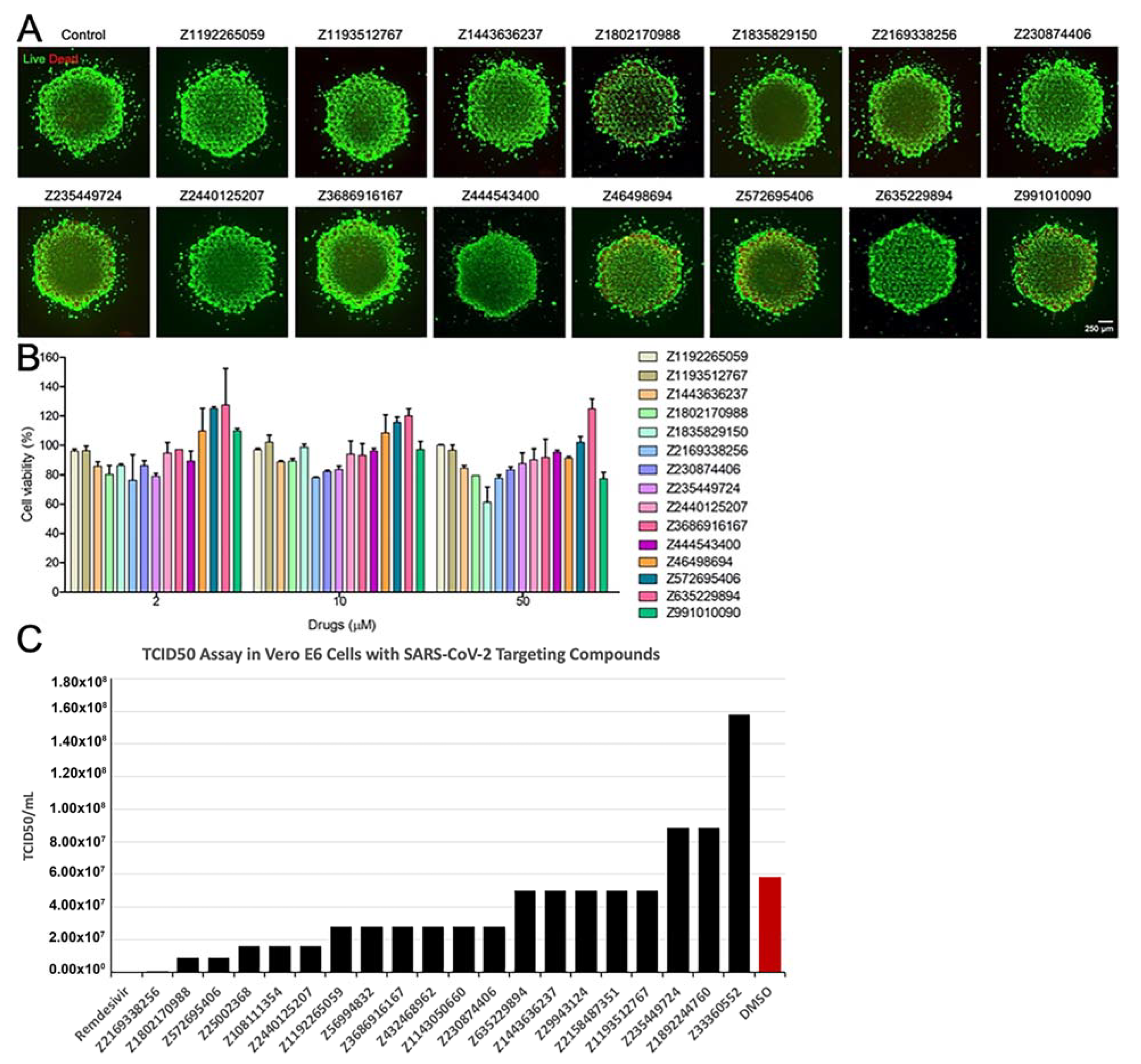 Biomolecules 11 00787 g007