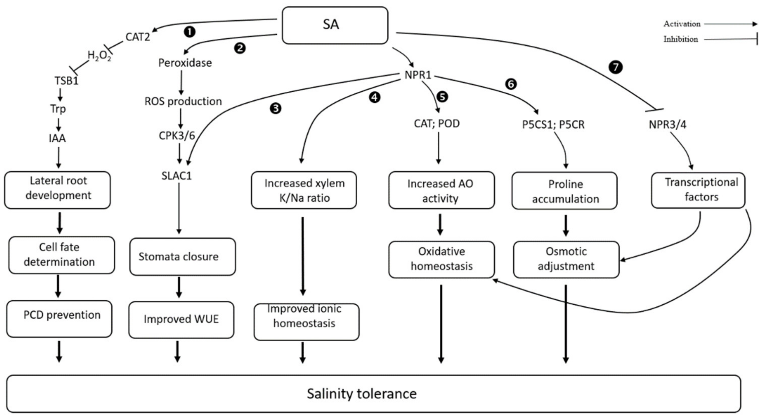 Biomolecules 11 00788 g002