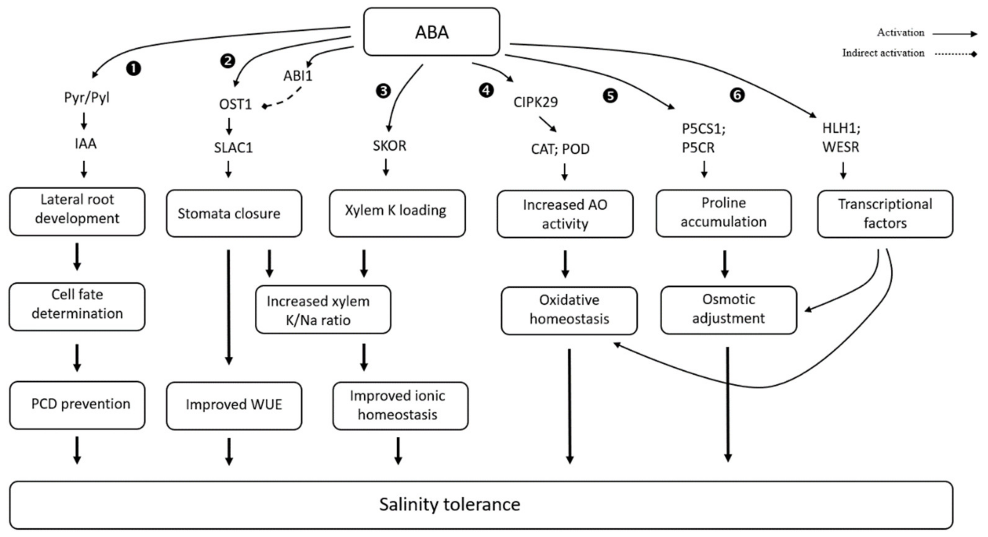 Biomolecules 11 00788 g003