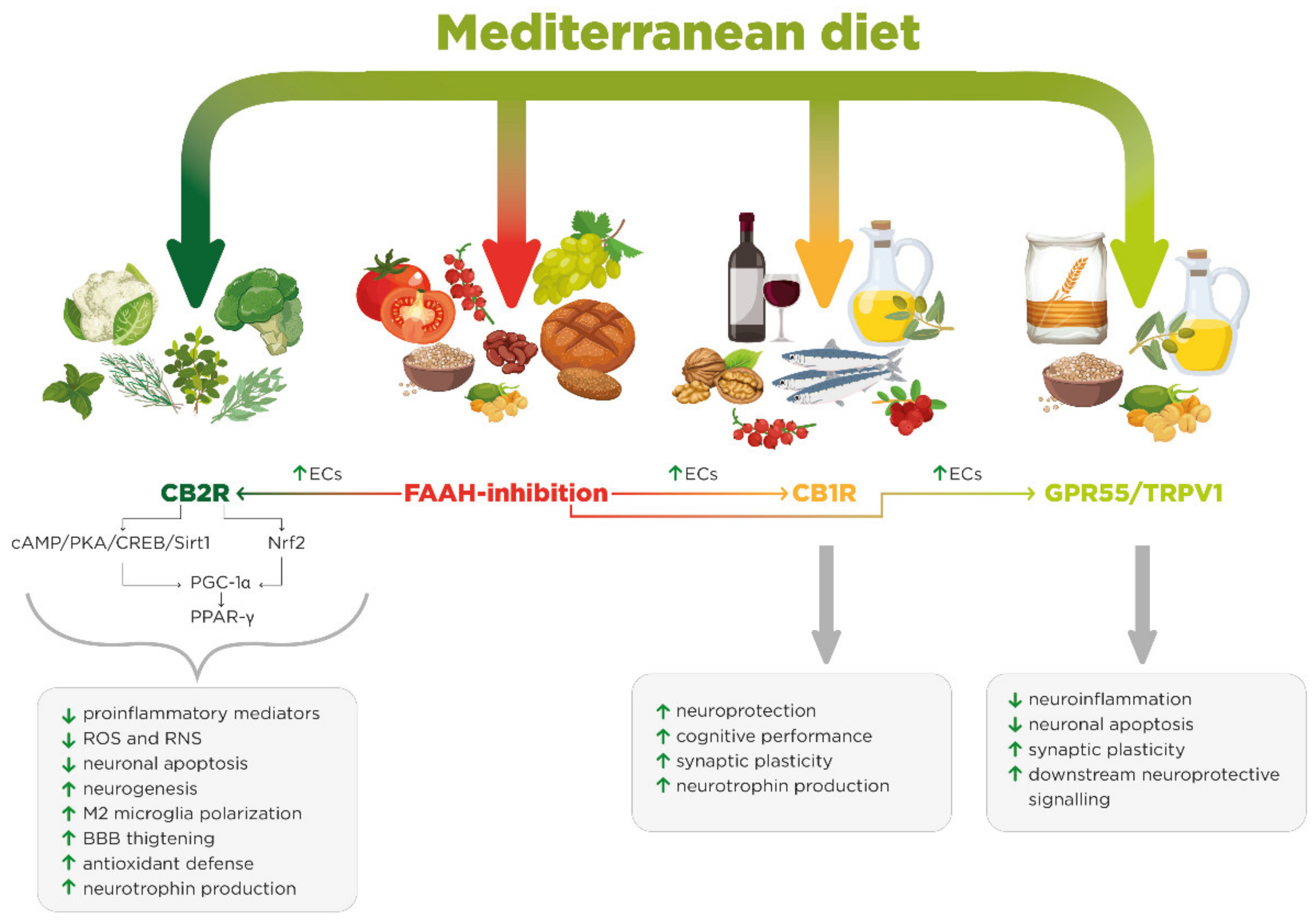 Biomolecules 11 00790 g002 Biomolecules 11 00790 g002