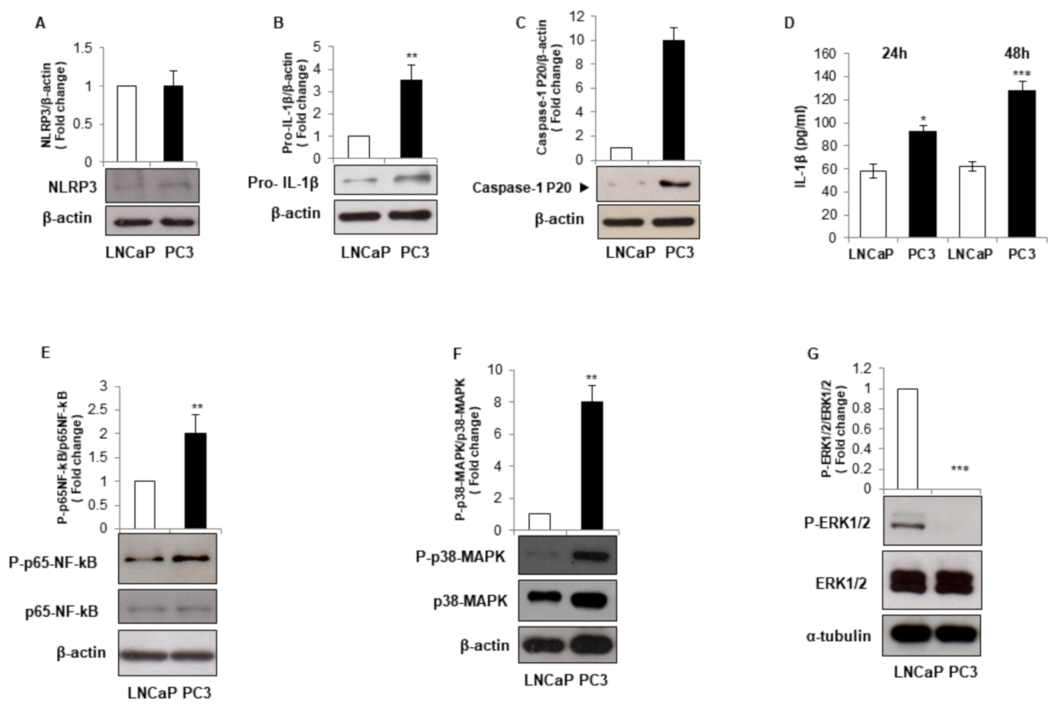 Biomolecules 11 00794 g001 Biomolecules 11 00794 g001