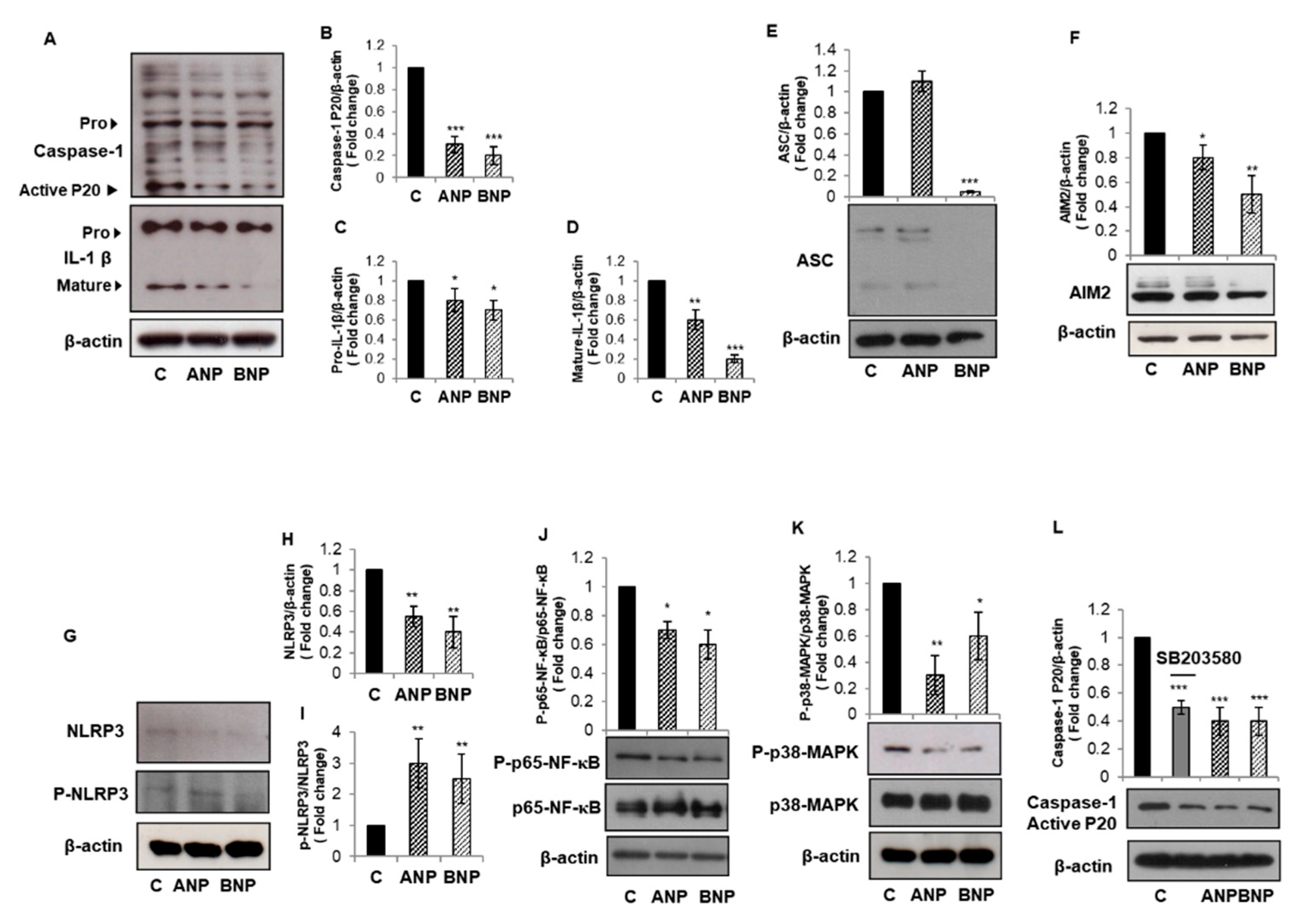 Biomolecules 11 00794 g003 Biomolecules 11 00794 g003