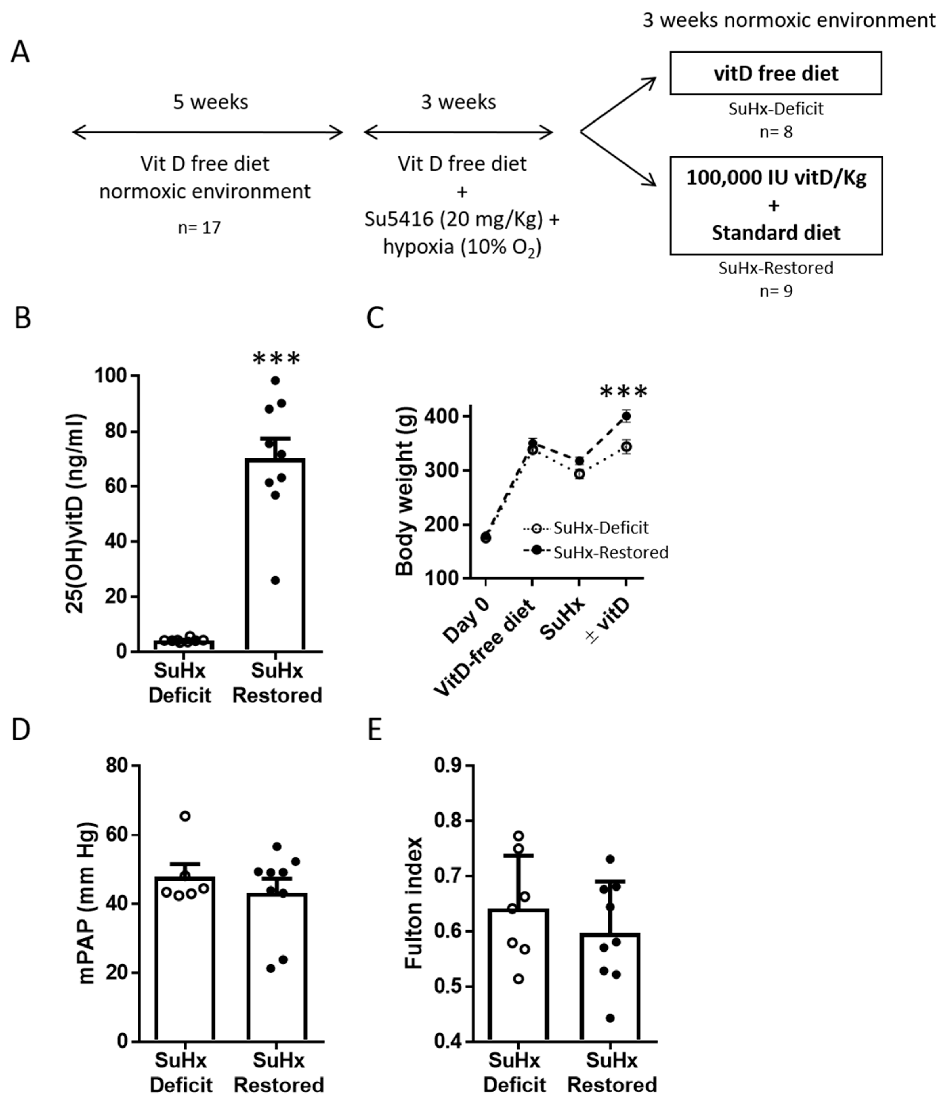 Biomolecules 11 00795 g001 Biomolecules 11 00795 g001