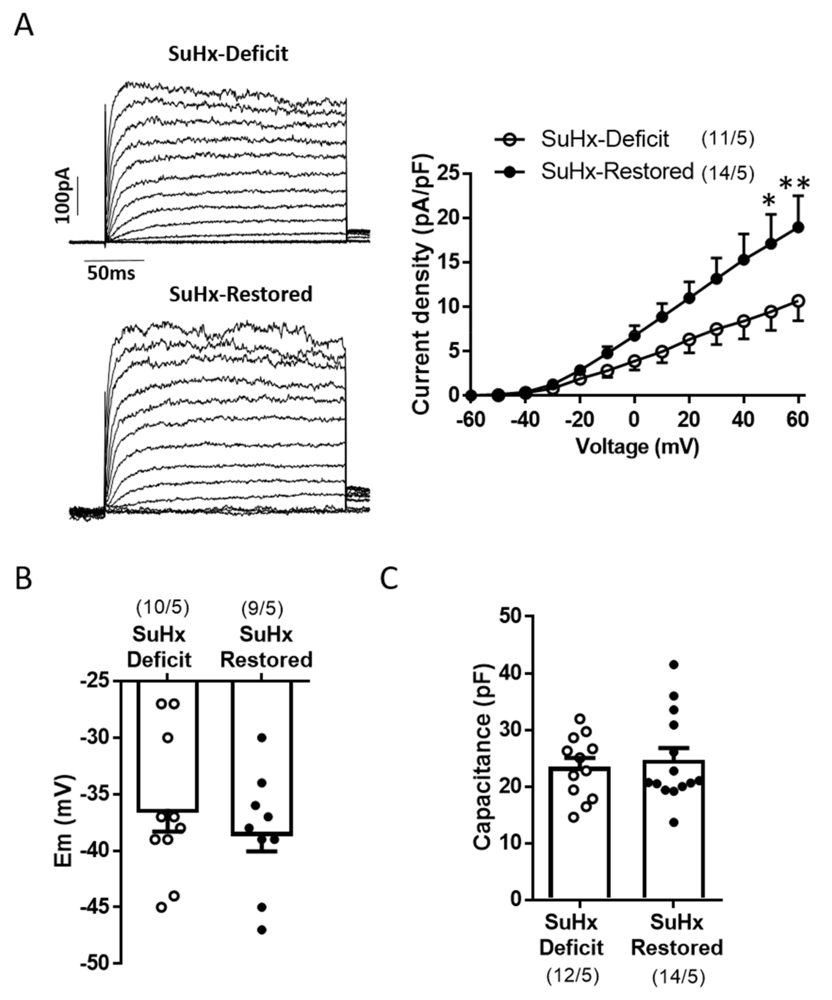 Biomolecules 11 00795 g003 Biomolecules 11 00795 g003