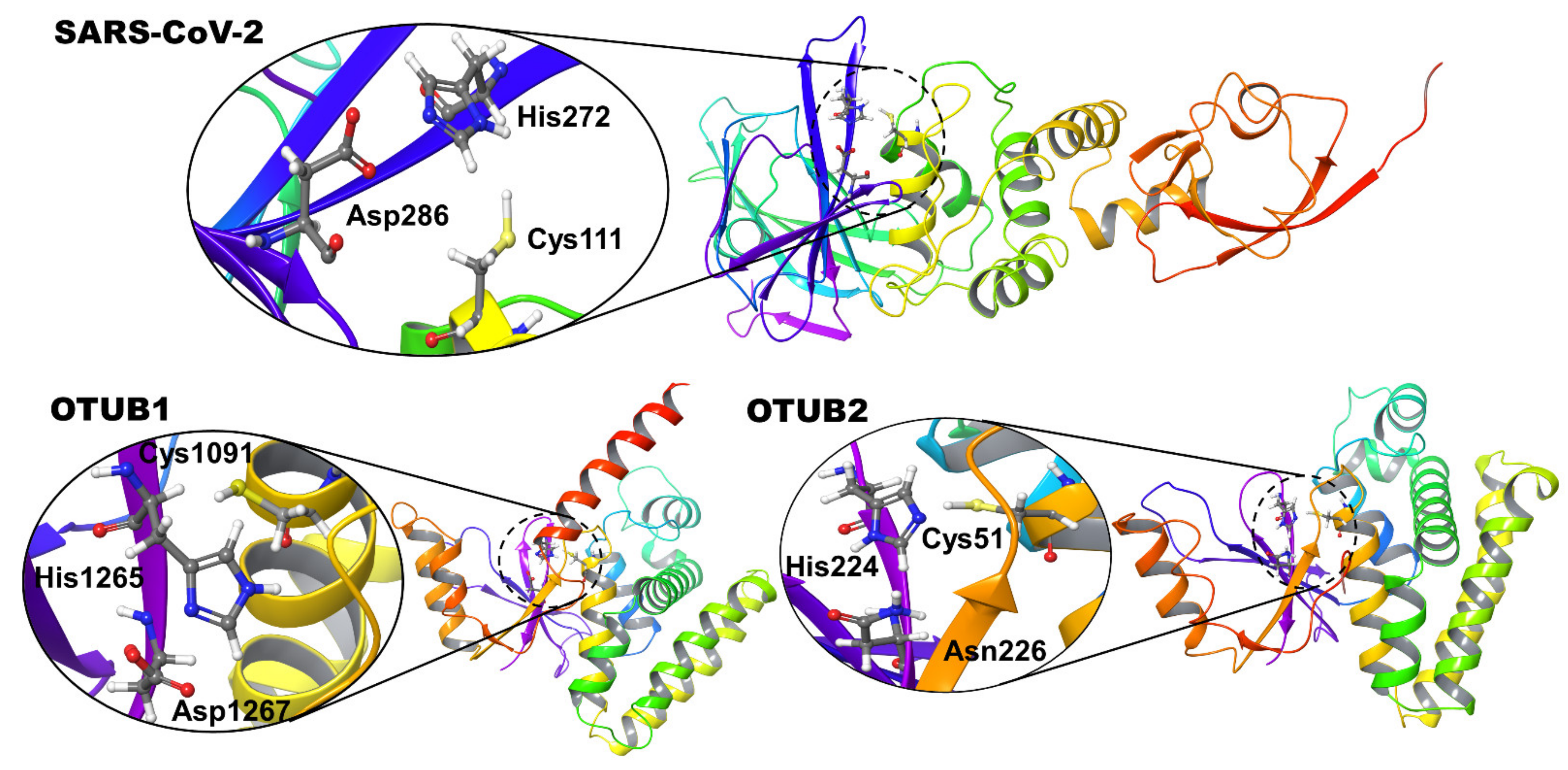 Biomolecules 11 00802 g001