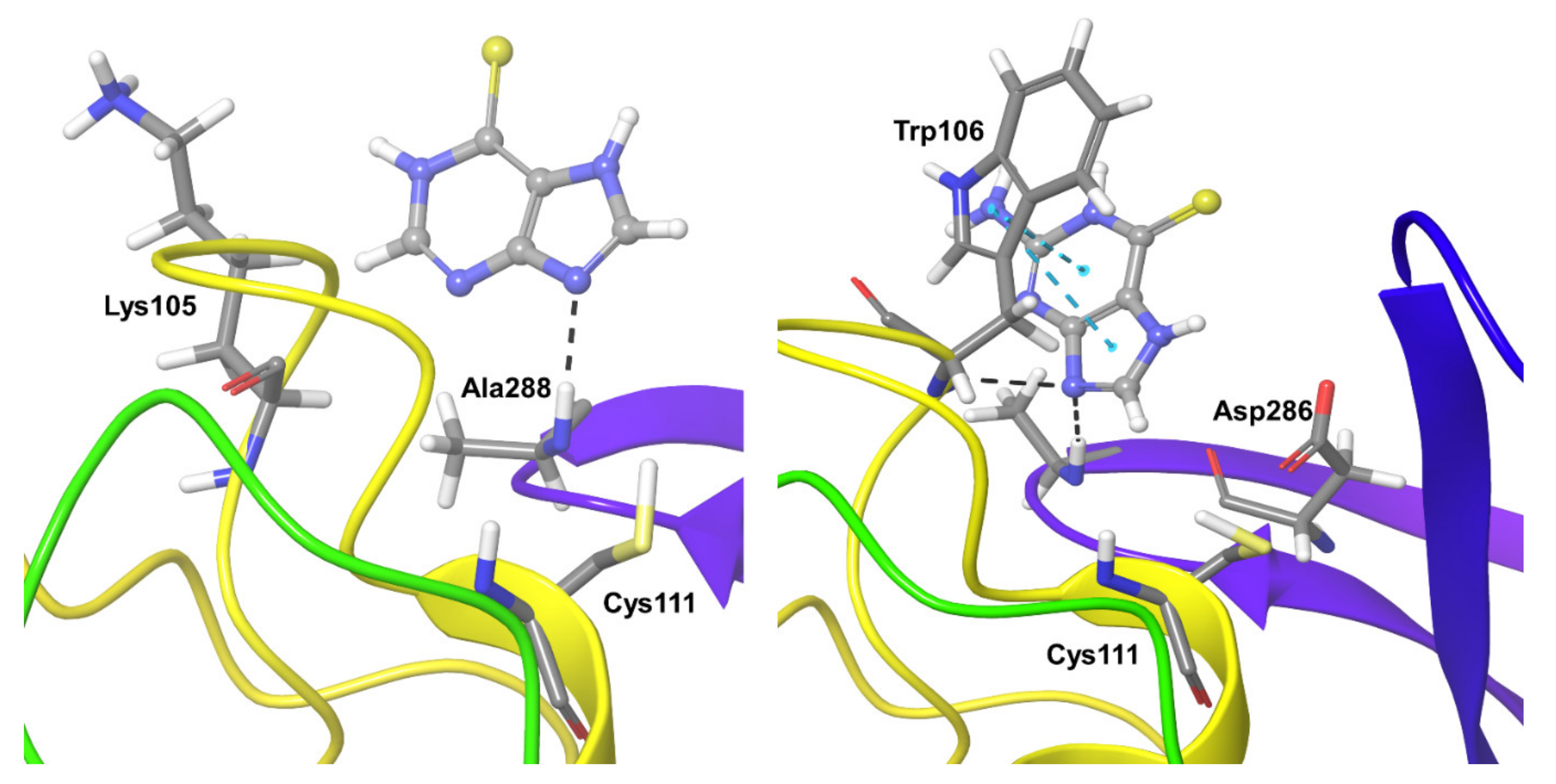 Biomolecules 11 00802 g004