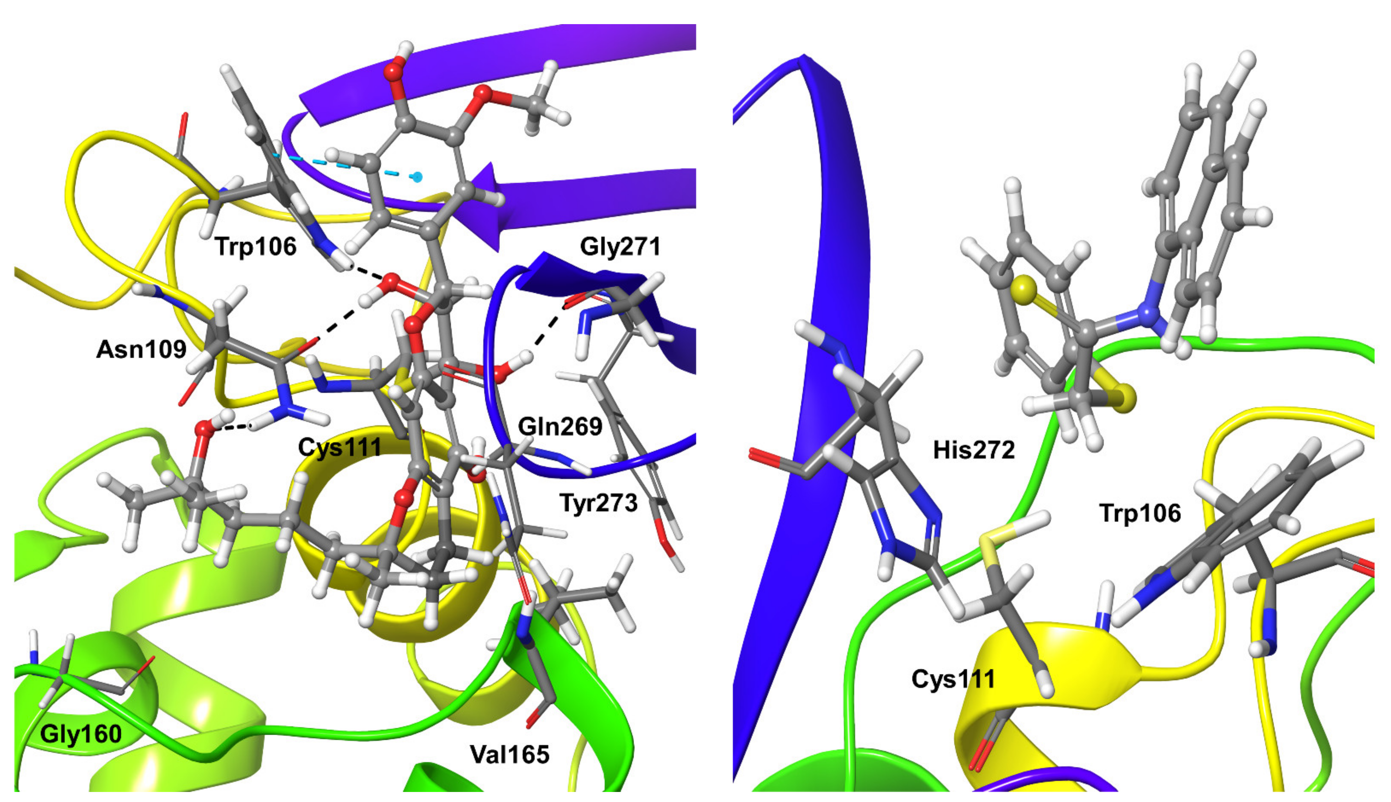 Biomolecules 11 00802 g006