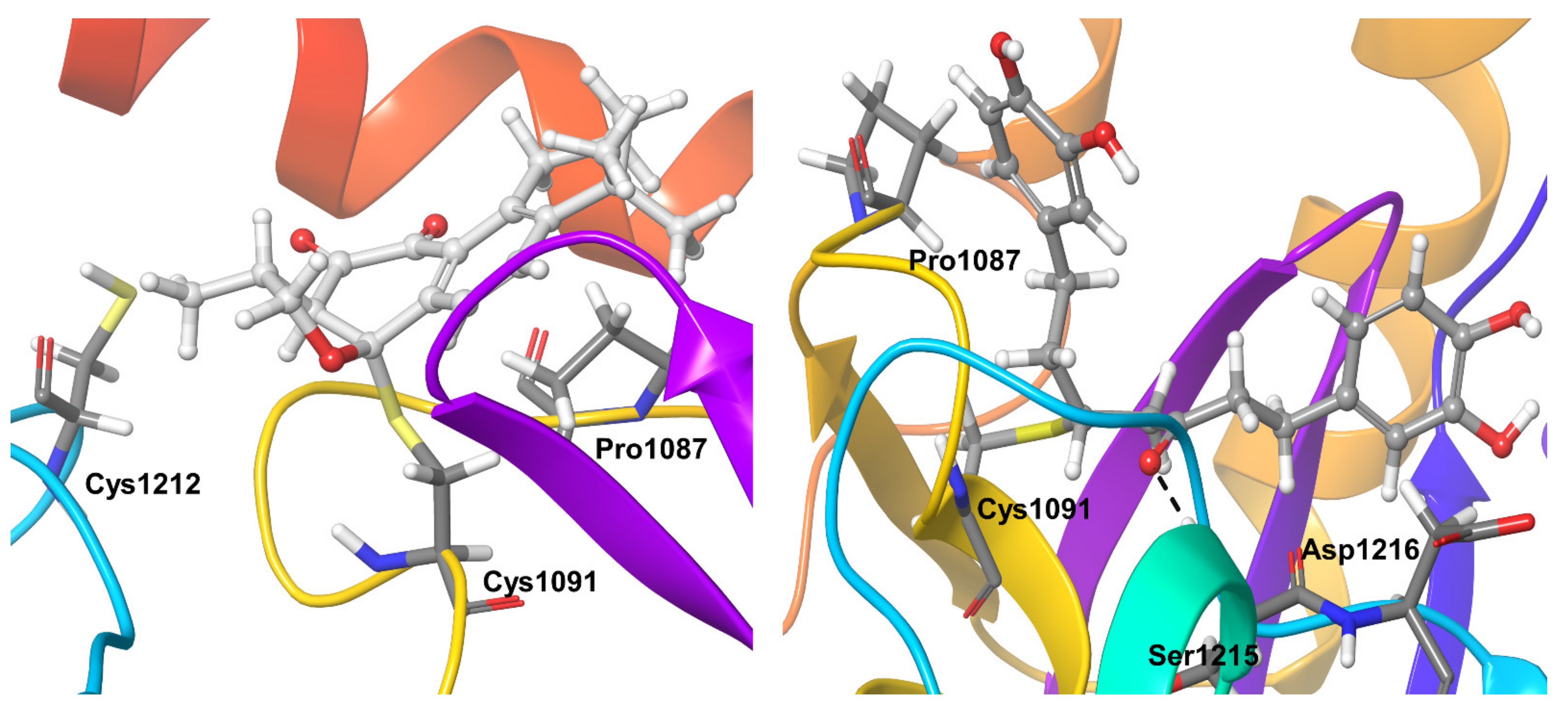 Biomolecules 11 00802 g008